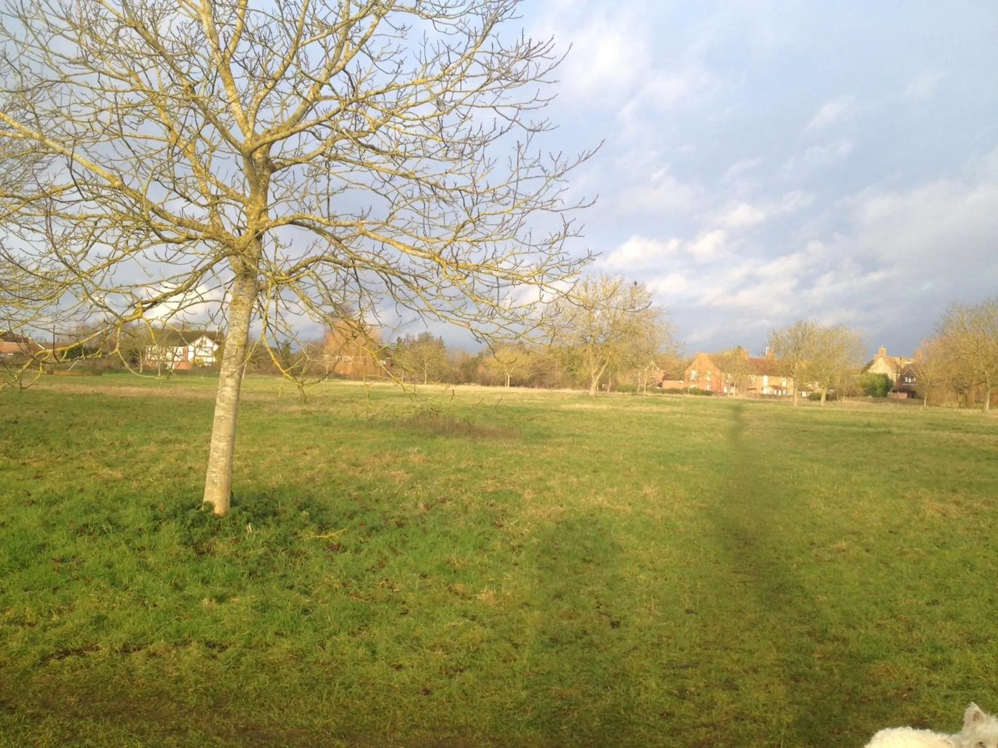 Red Lion Accommodation