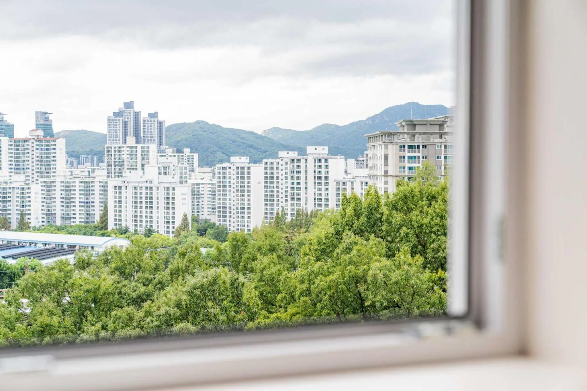 Natural landscape in Hotel THE ART UIWANG