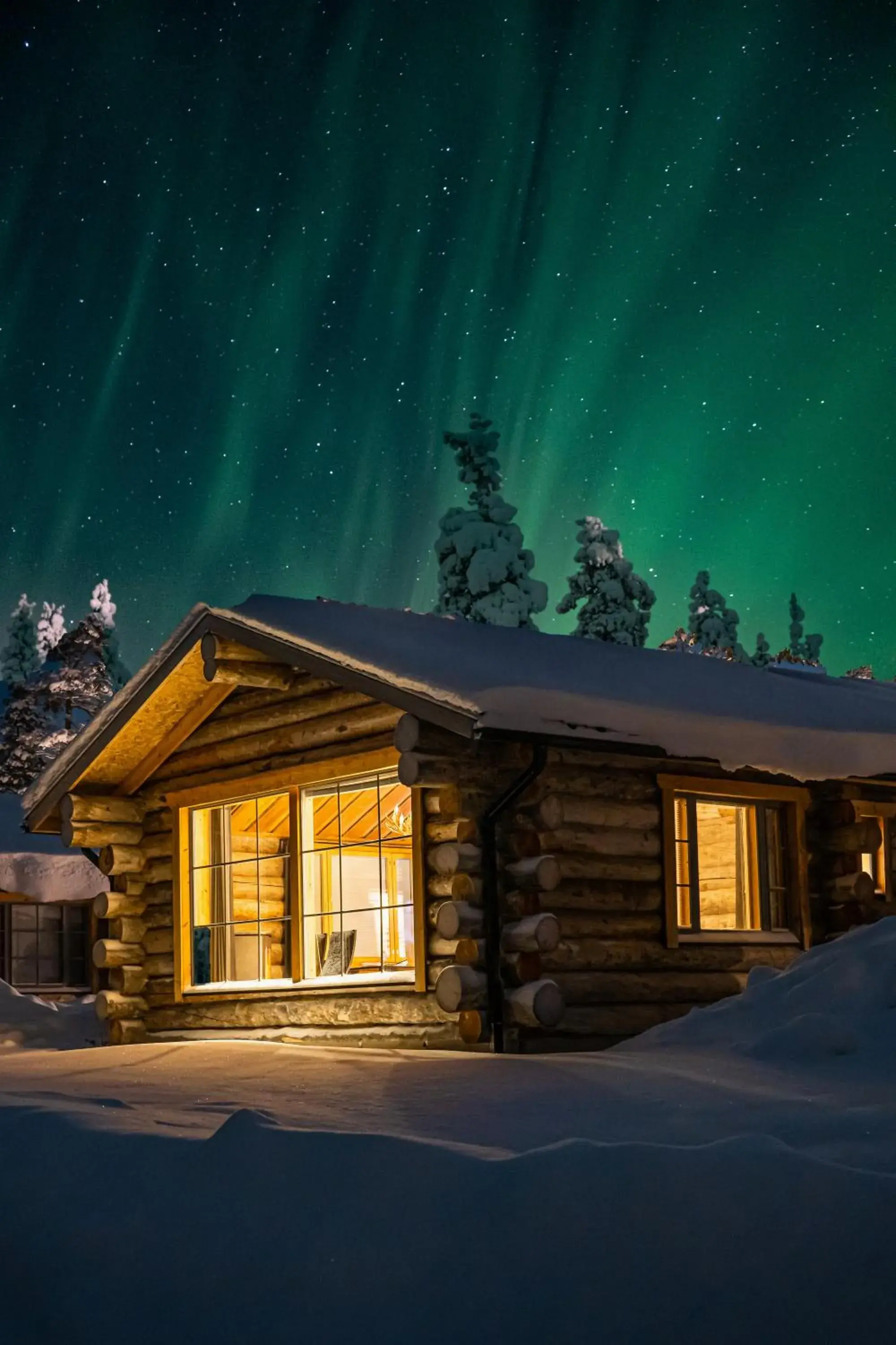 Panorama Log Cabin in Wilderness Hotel Muotka & Igloos Panorama Log Cabin in Wilderness Hotel Muotka & Igloos