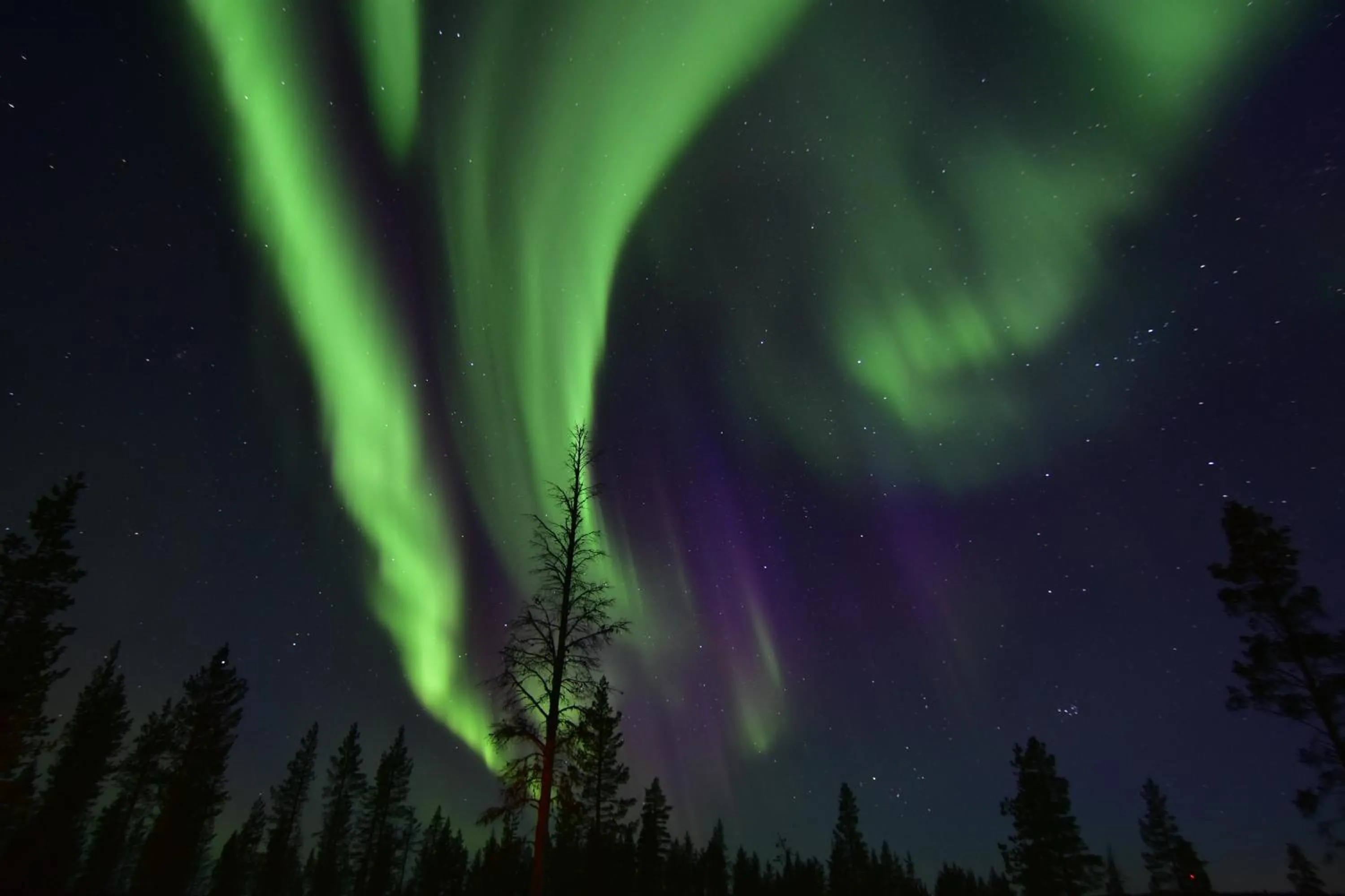 Night in Wilderness Hotel Muotka & Igloos