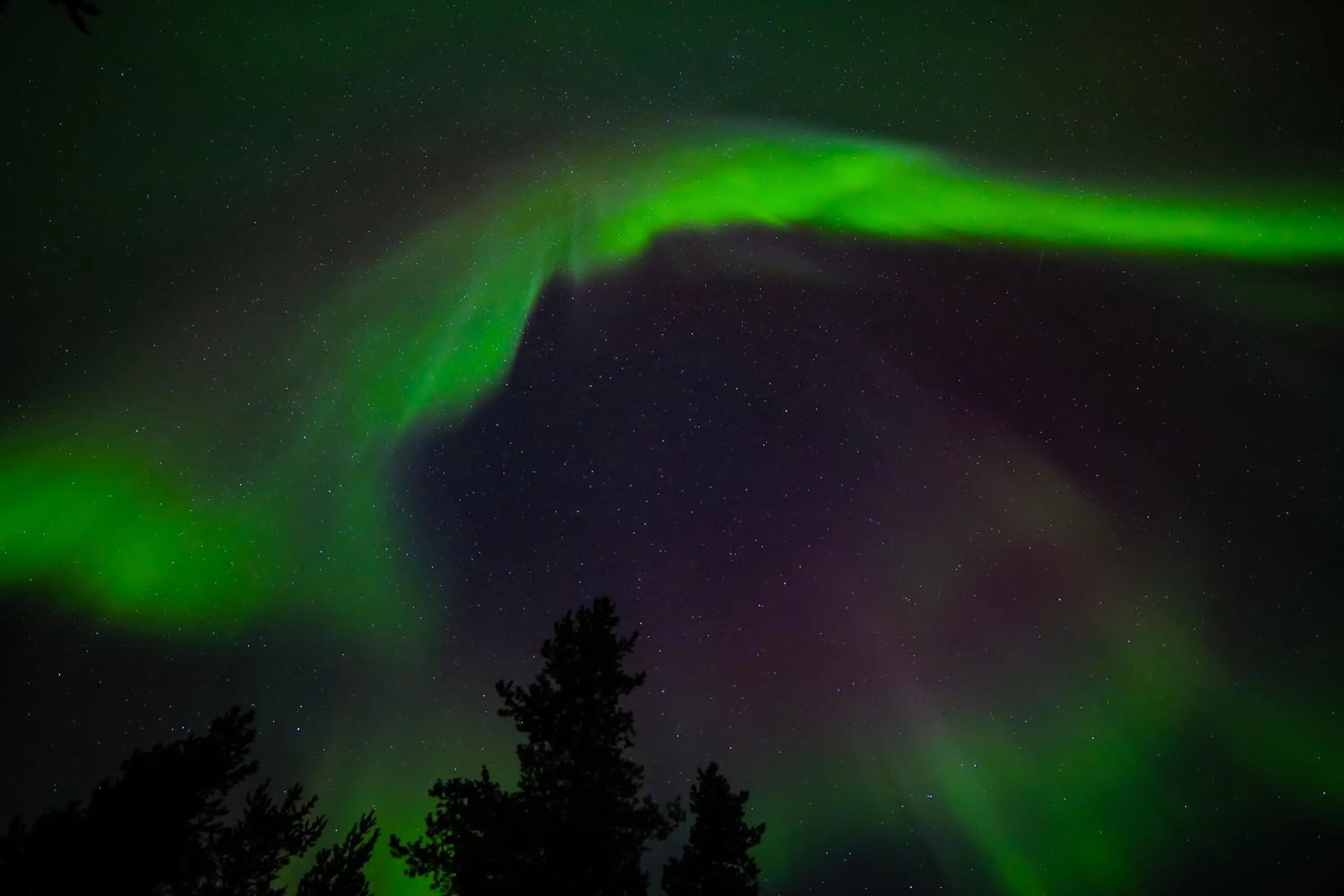 Evening entertainment in Wilderness Hotel Muotka & Igloos