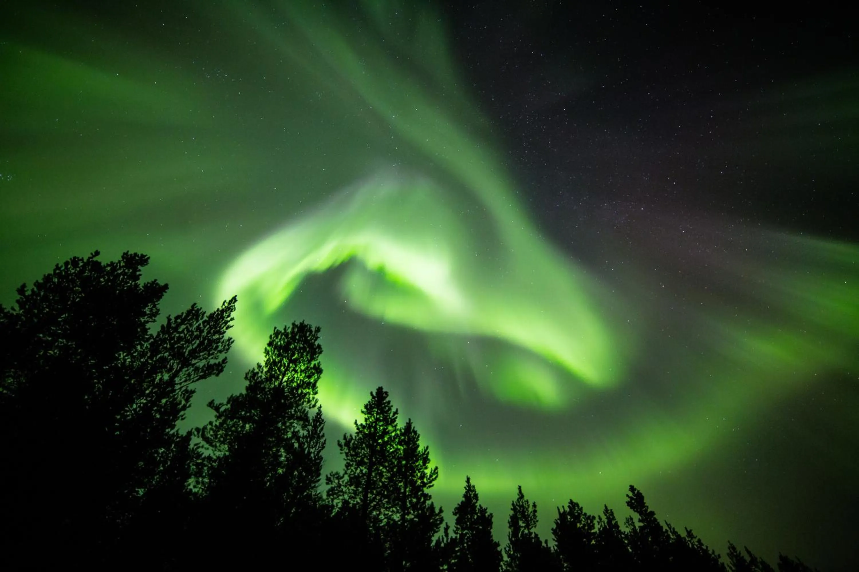 View (from property/room) in Wilderness Hotel Muotka & Igloos