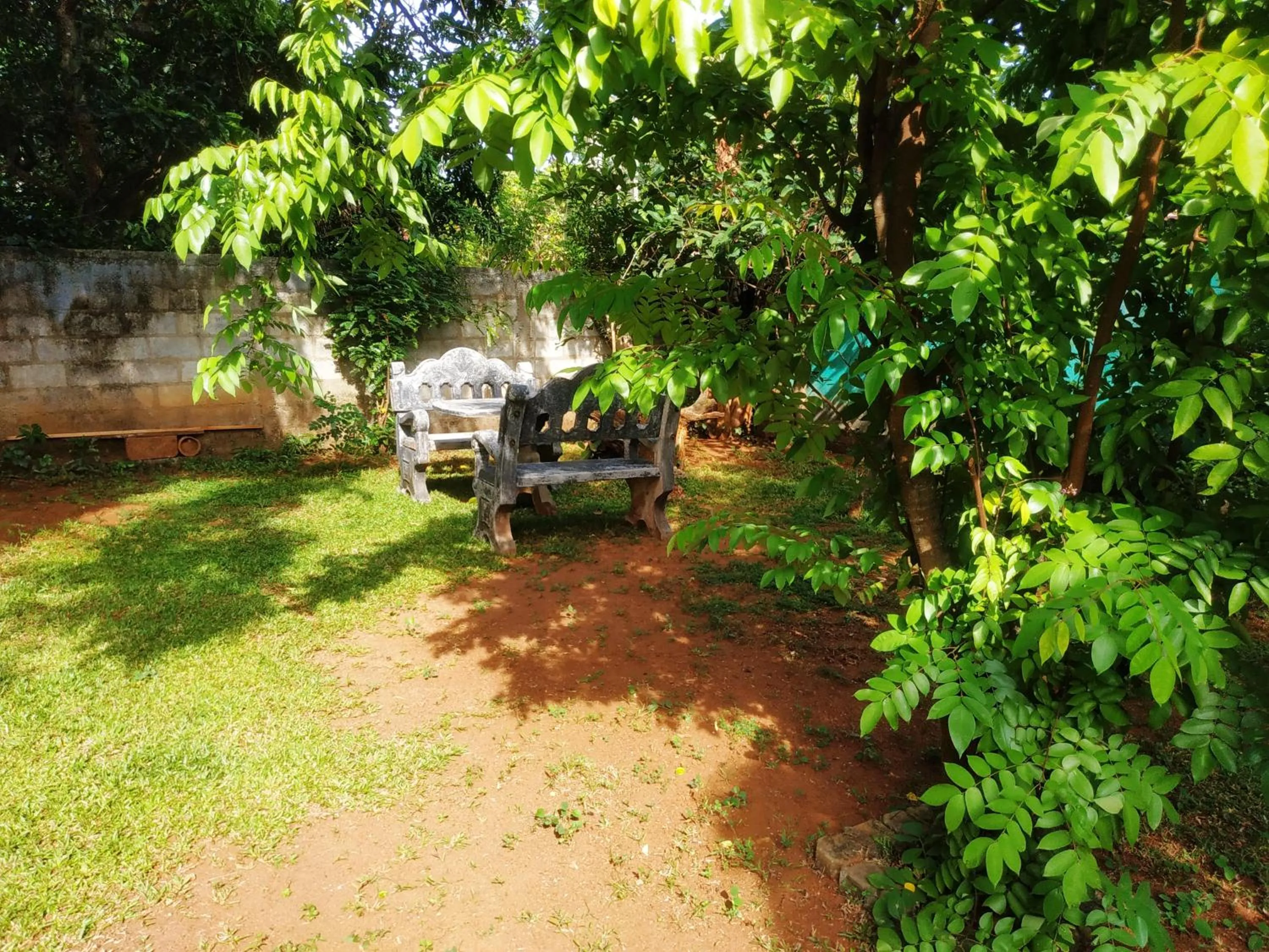 Garden view in Green heaven safari resort Udawalawa
