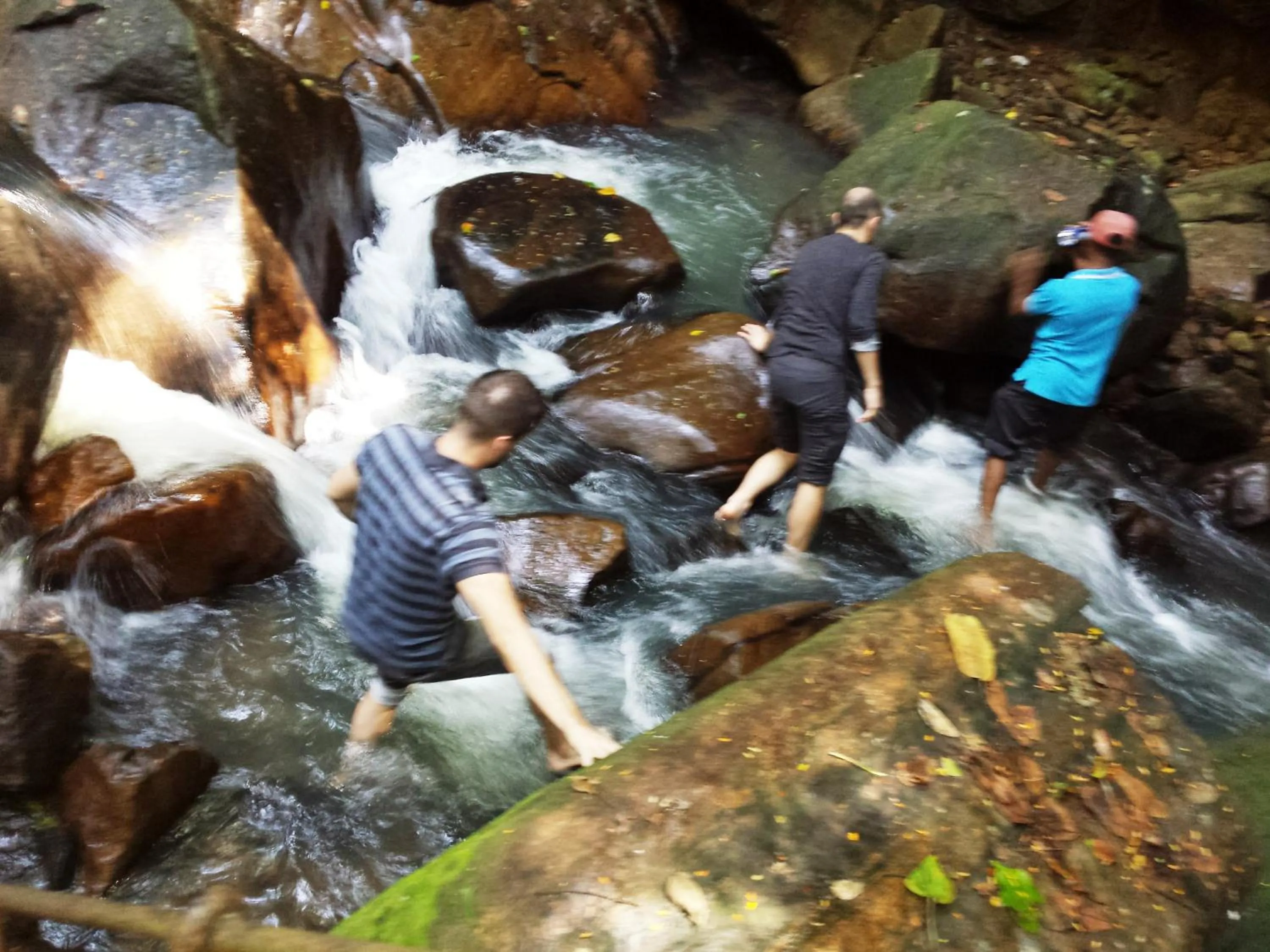 Activities in Green heaven safari resort Udawalawa