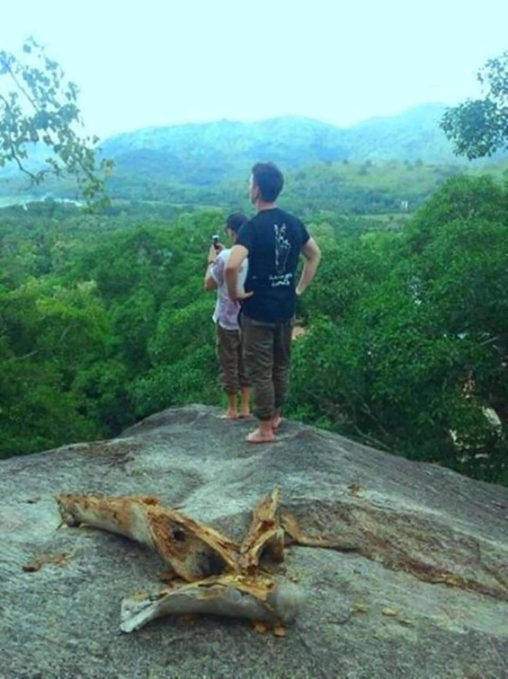 Activities in Green heaven safari resort Udawalawa