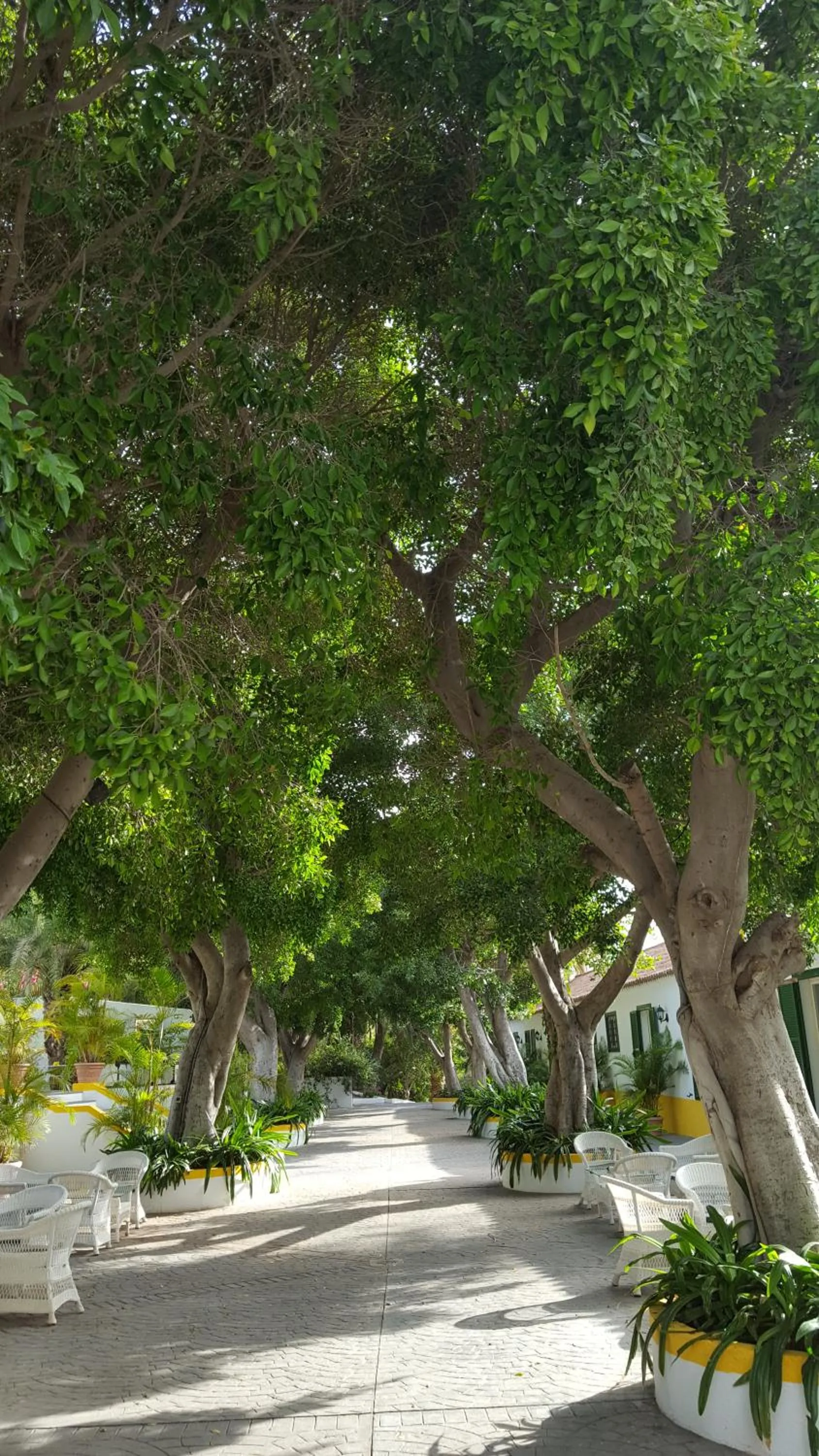 Day in Cortijo San Ignacio