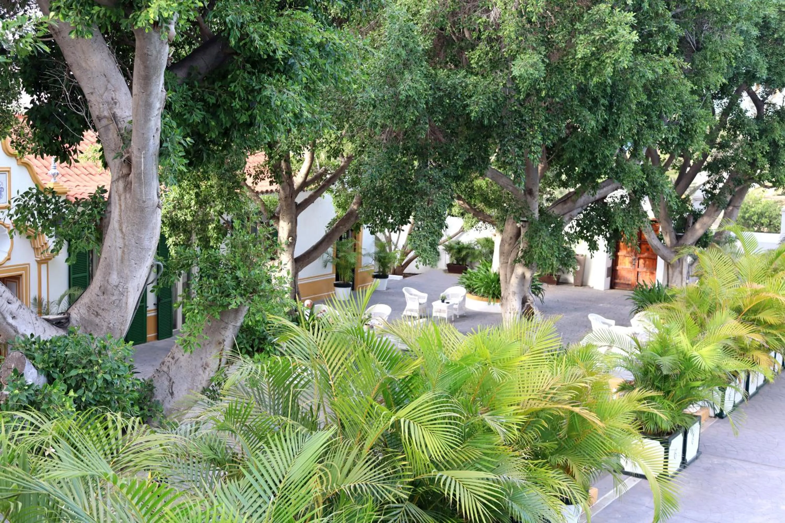 Garden in Cortijo San Ignacio
