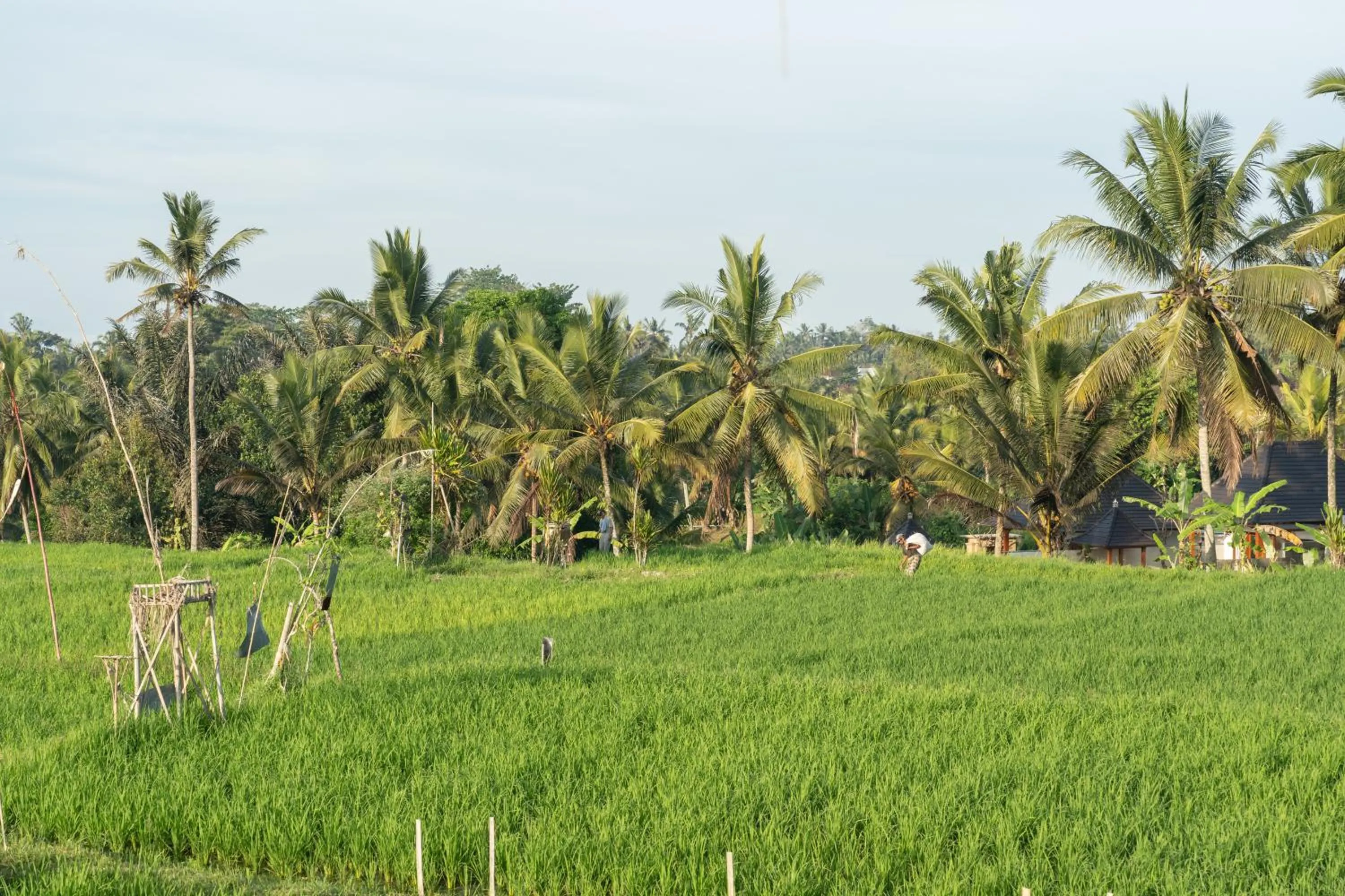 View (from property/room) in Wisana Villa Ubud by Dhananjaya Hospitality