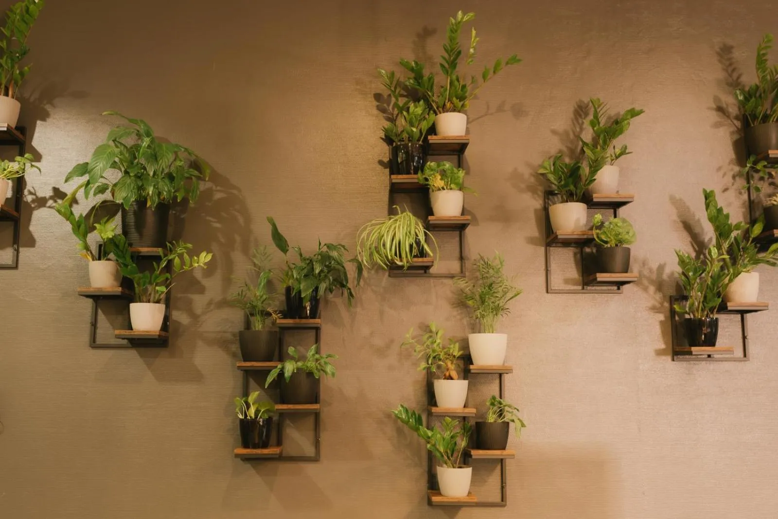 Lobby or reception in Quality Silesian Hotel