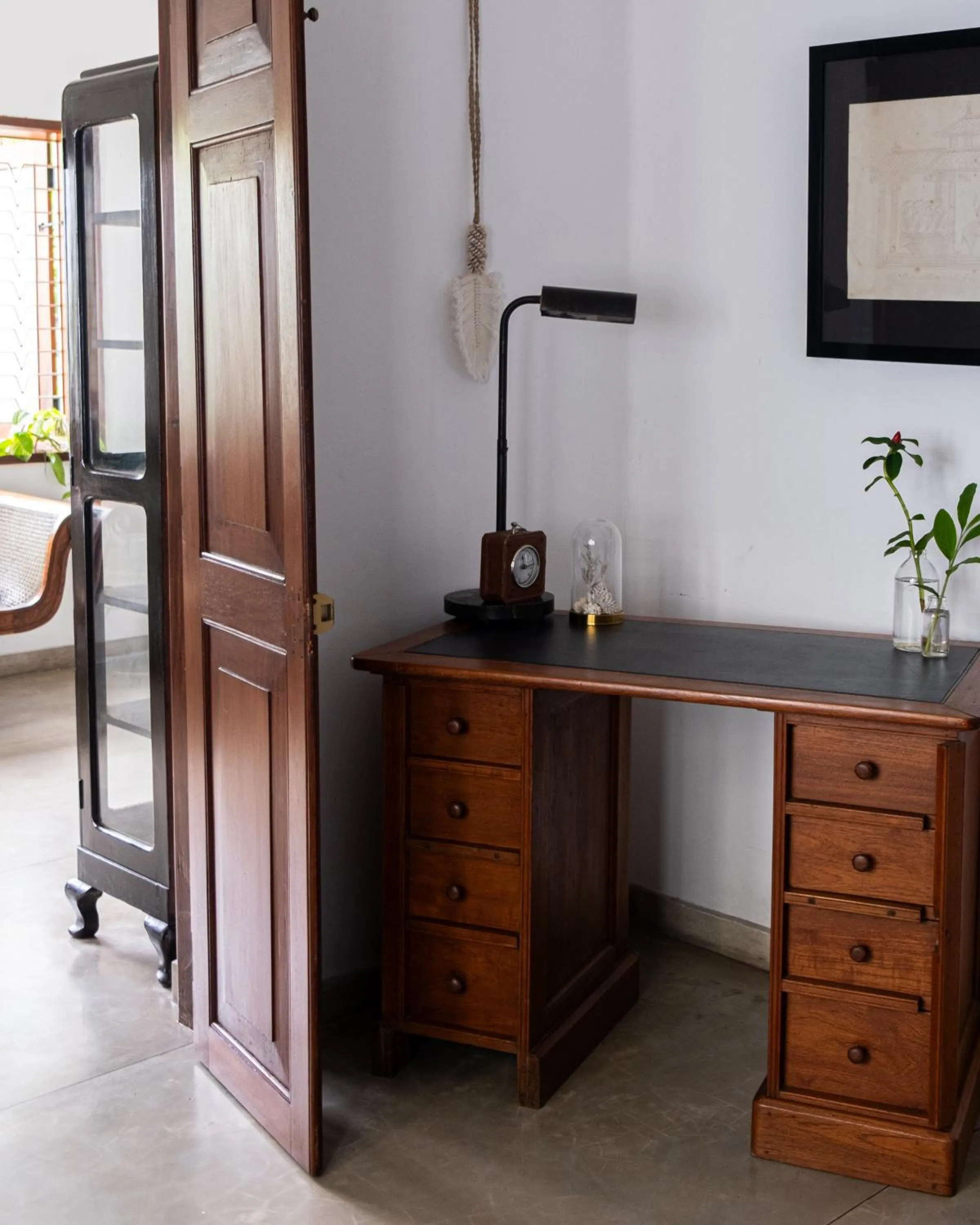 Decorative detail in "27" Spathodea- Oasis in the City