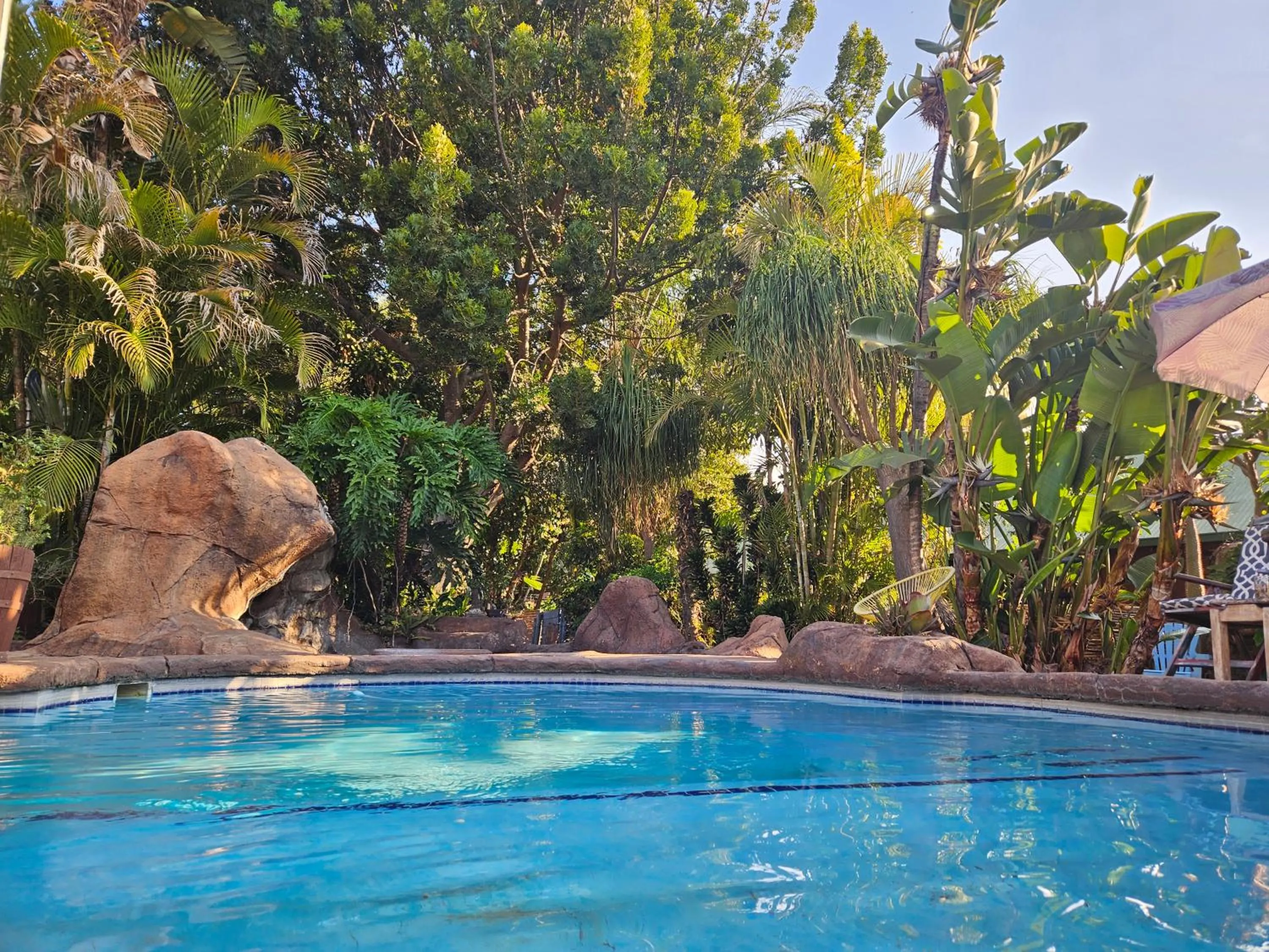 Lounge or bar in 61 On Ireland Guest House and Conferencing