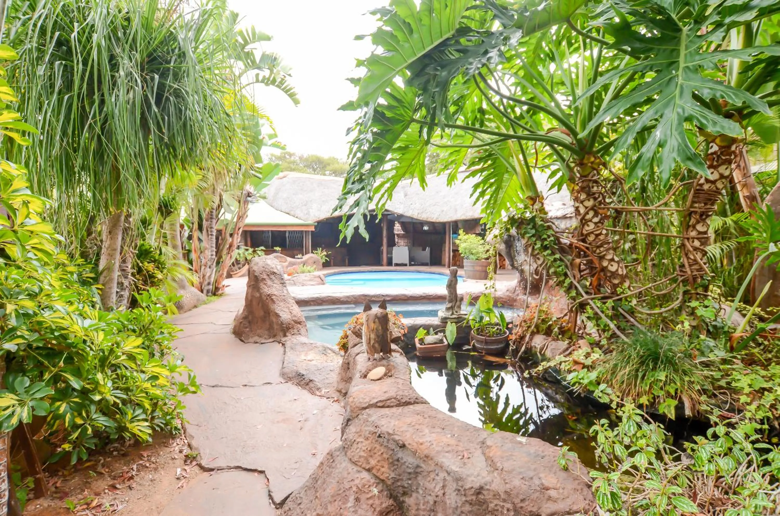 Pool view in 61 On Ireland Guest House and Conferencing