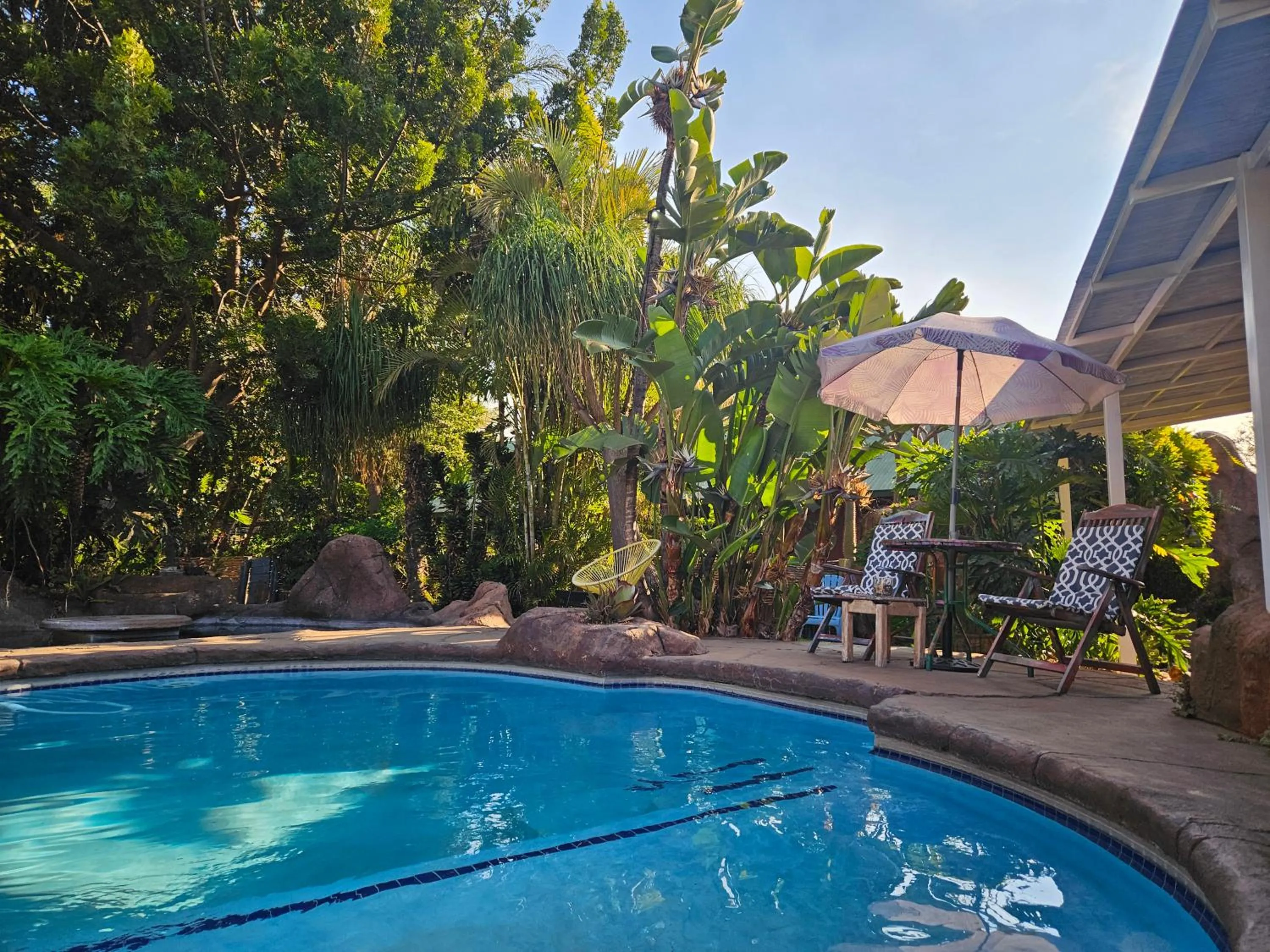 Garden in 61 On Ireland Guest House and Conferencing