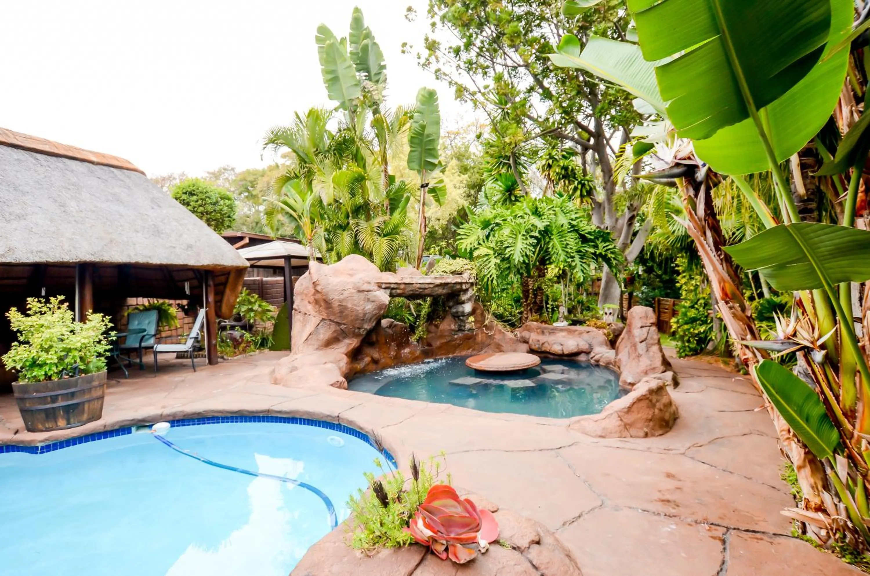 Swimming pool in 61 On Ireland Guest House and Conferencing