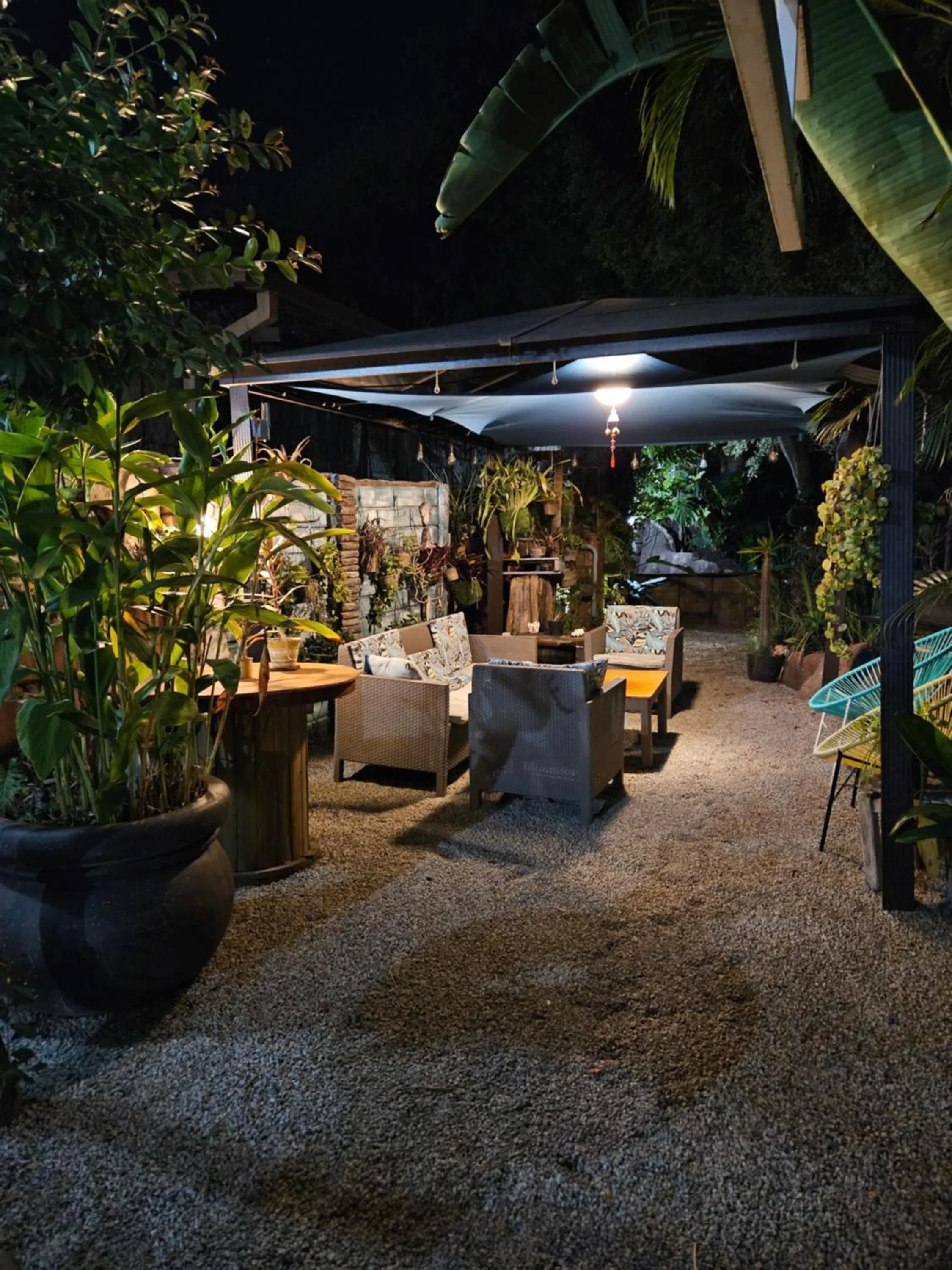 Garden in 61 On Ireland Guest House and Conferencing