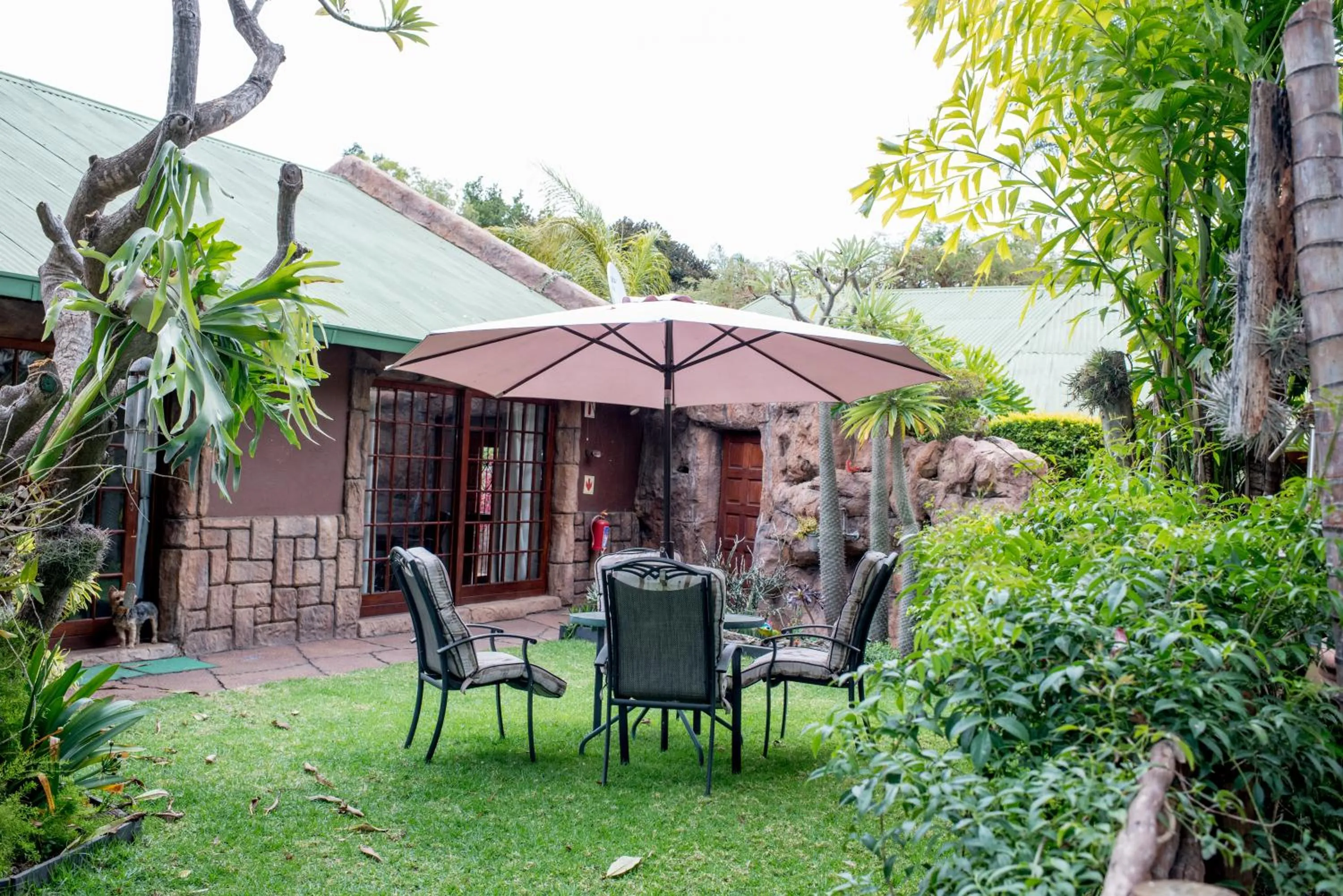 Garden in 61 On Ireland Guest House and Conferencing