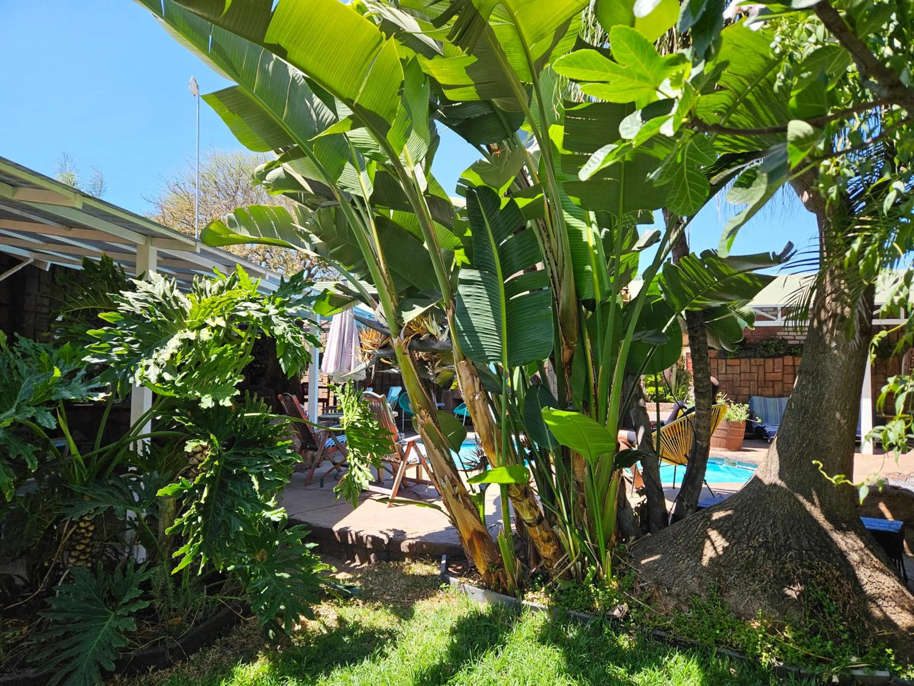 Garden in 61 On Ireland Guest House and Conferencing