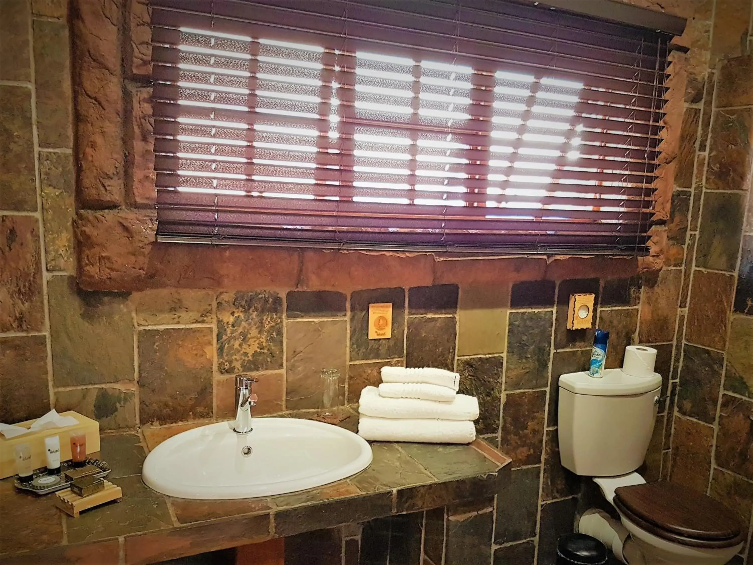 Standard Twin Room - single occupancy in 61 On Ireland Guest House and Conferencing Standard Twin Room - single occupancy in 61 On Ireland Guest House and Conferencing