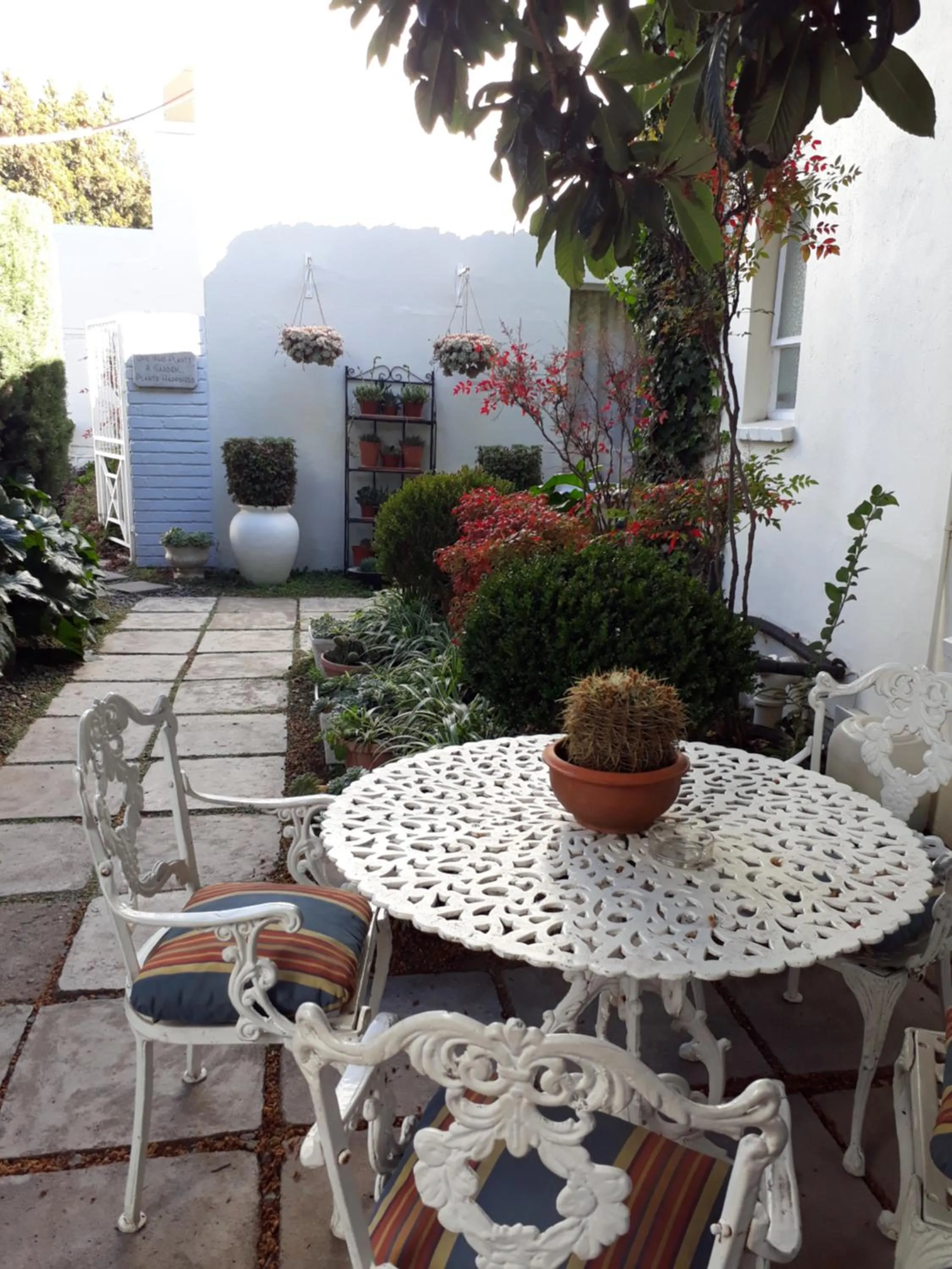 Patio in The Lighthouse Guesthouse