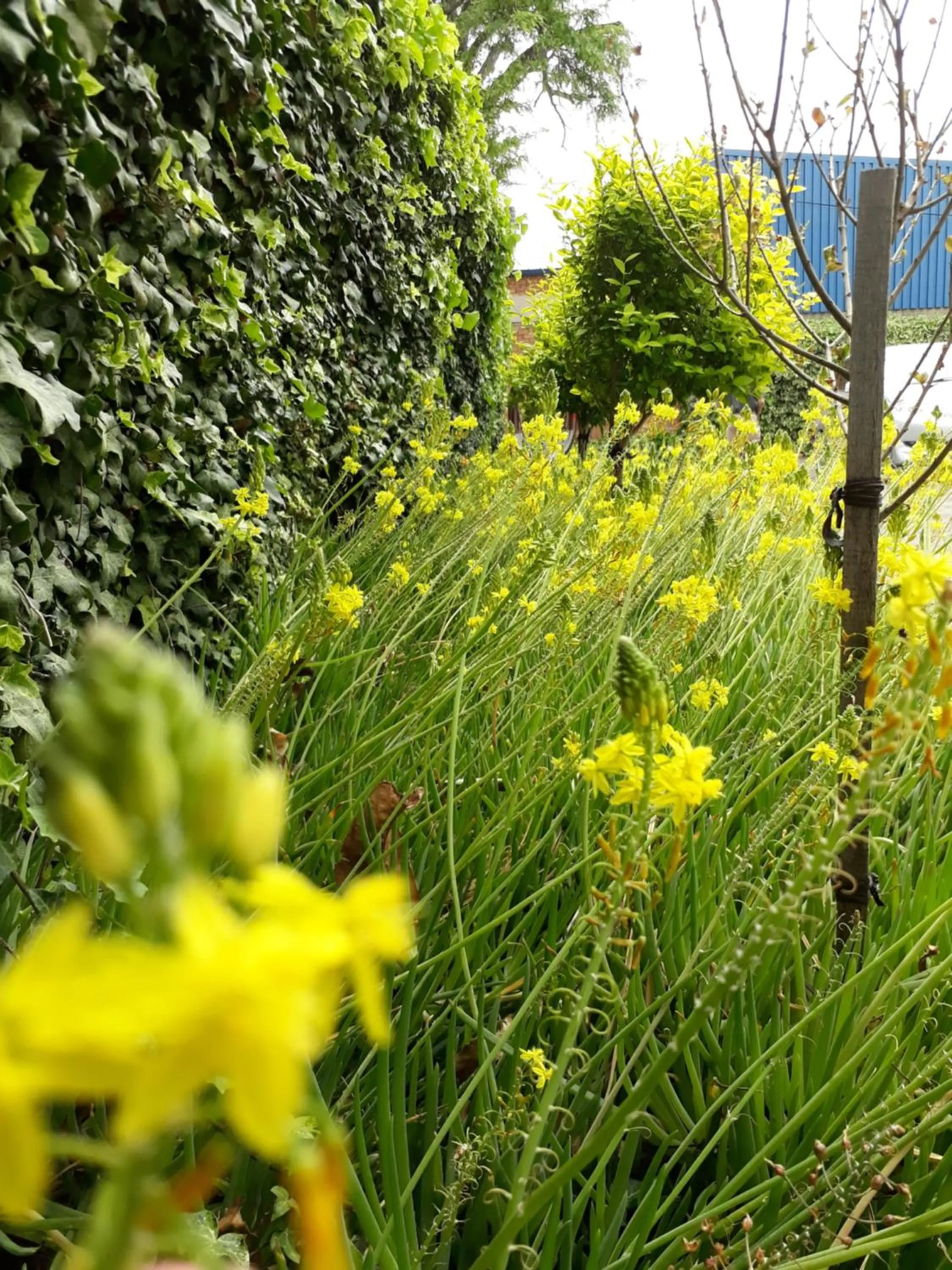 Natural landscape in The Lighthouse Guesthouse