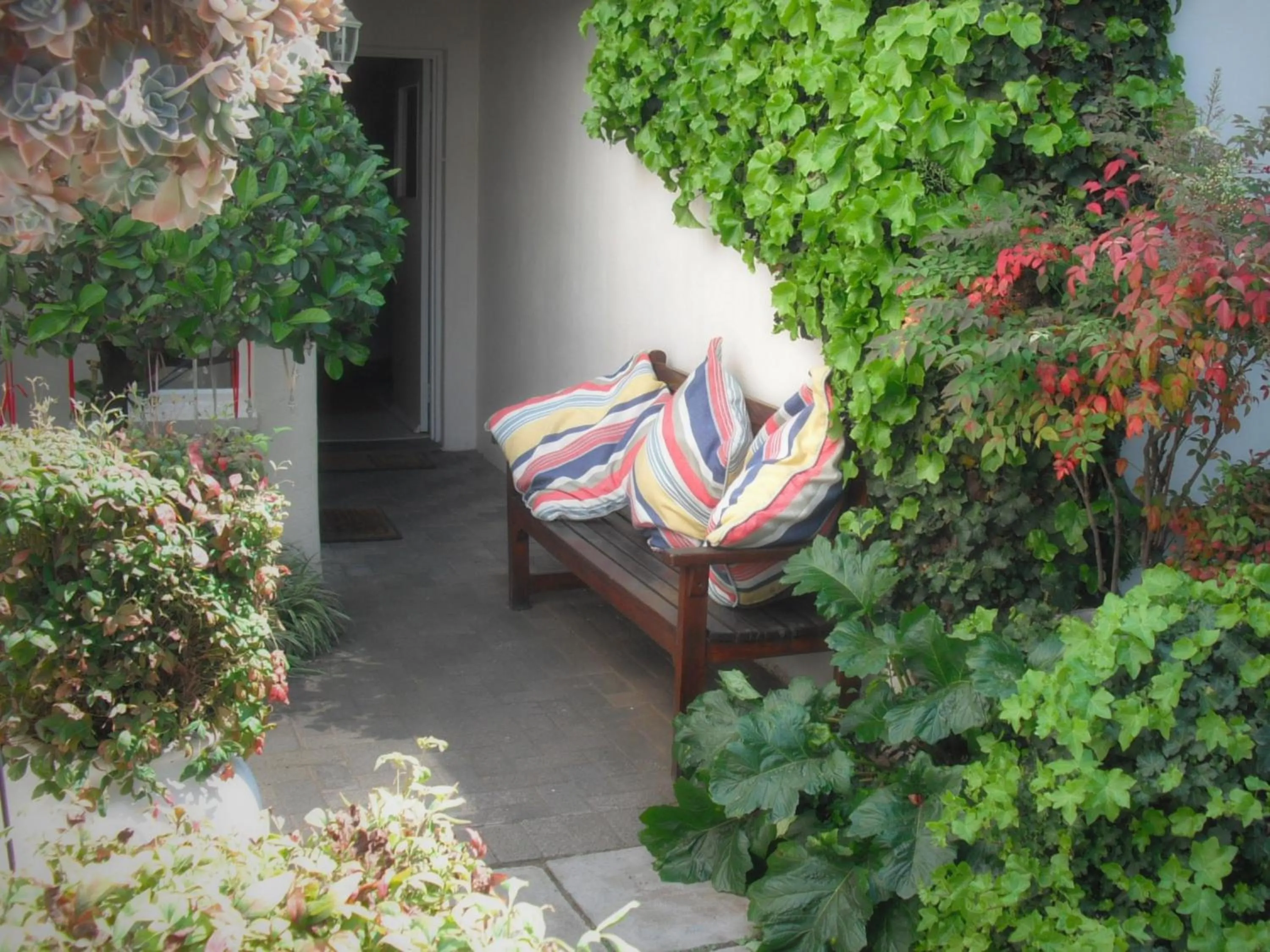 Patio in The Lighthouse Guesthouse