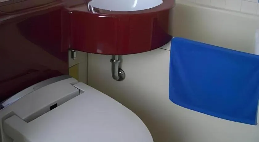 Matsuyama City Hotel