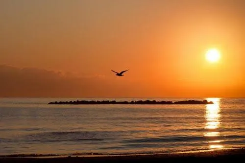 Property building in B&B Tio Pepe