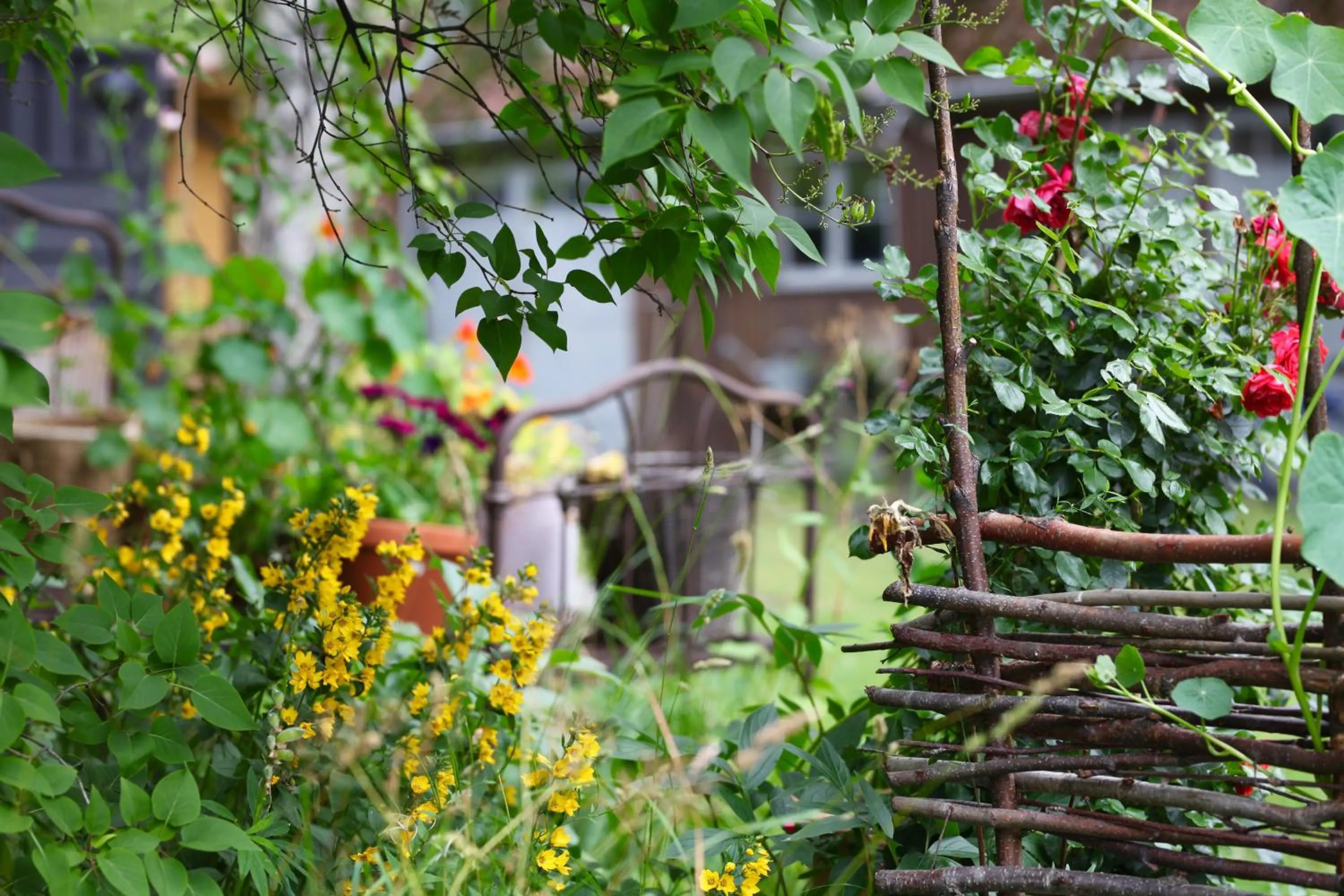 Garden view in Prästgatanett Apartments