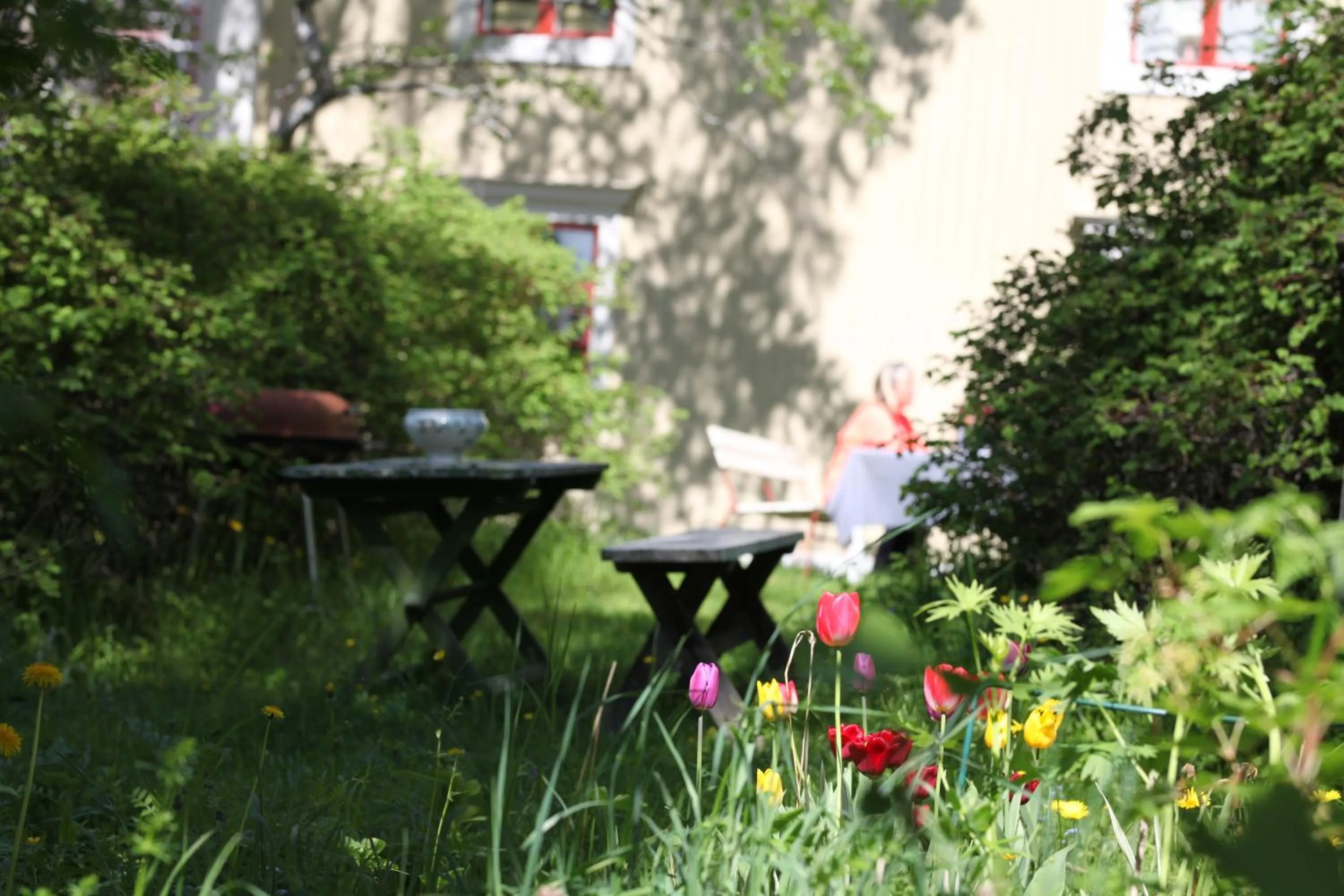Garden in Prästgatanett Apartments