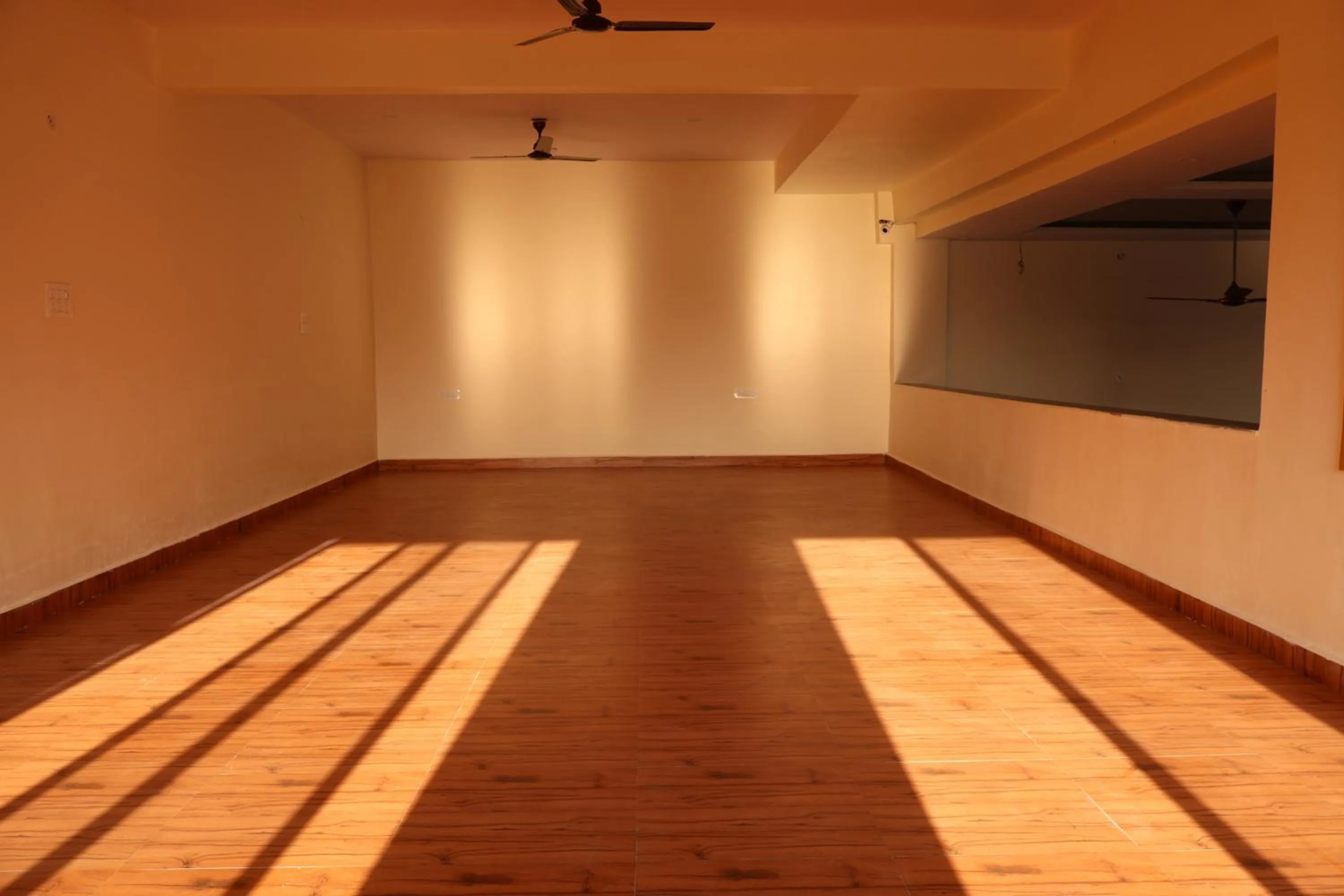 TV and multimedia in The Rajputana Palace