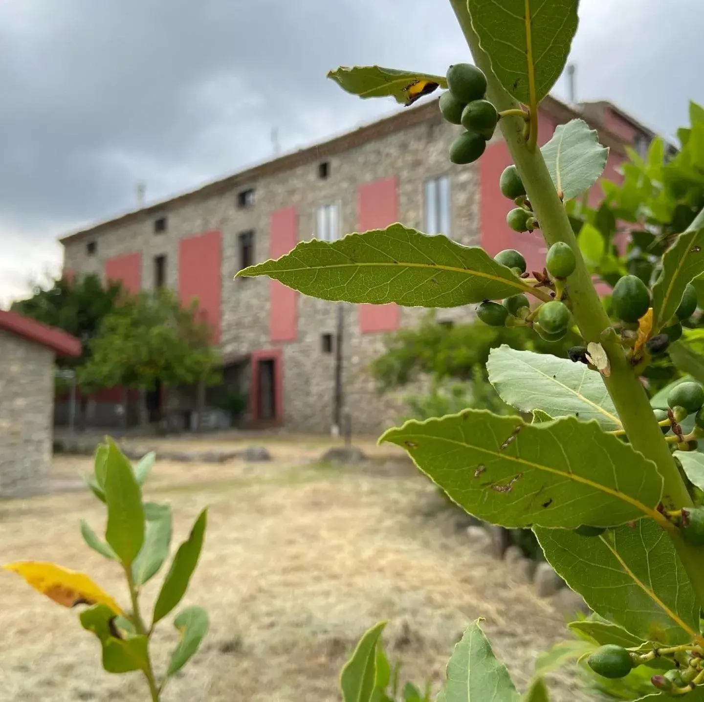 Tenuta TerraRossa Tenuta TerraRossa