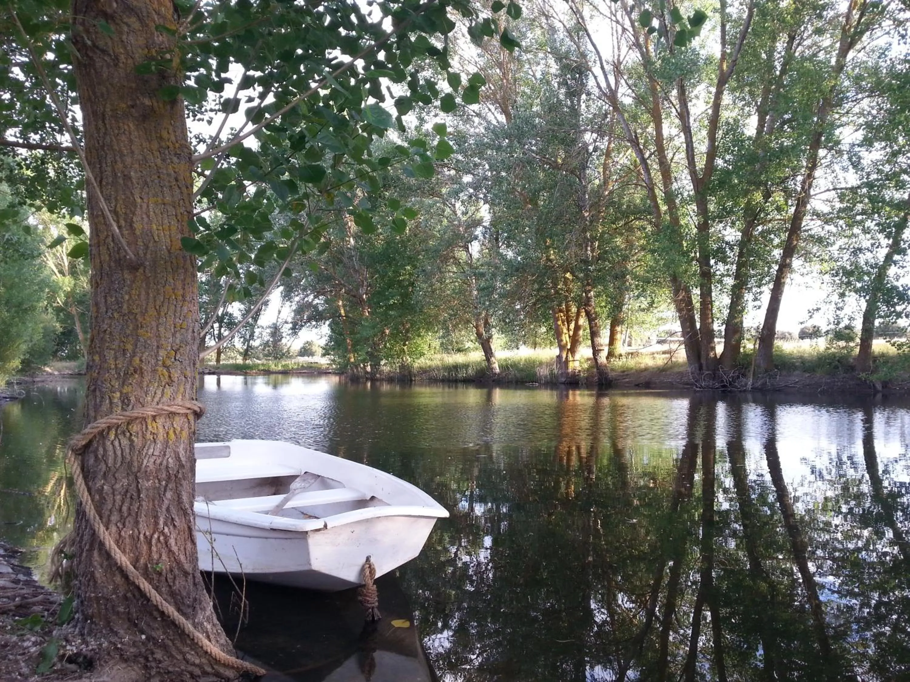 Natural landscape in Posada Real Castillo del Buen Amor