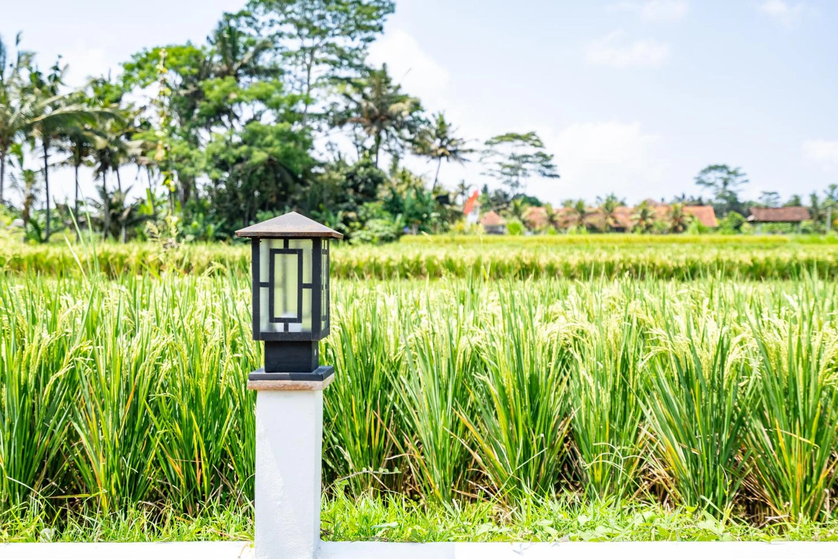 Garden in Aura Apartments Ubud