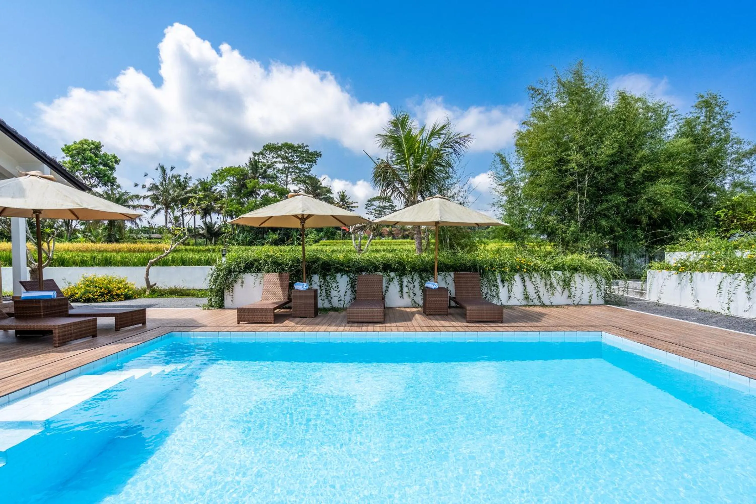 Garden in Aura Apartments Ubud