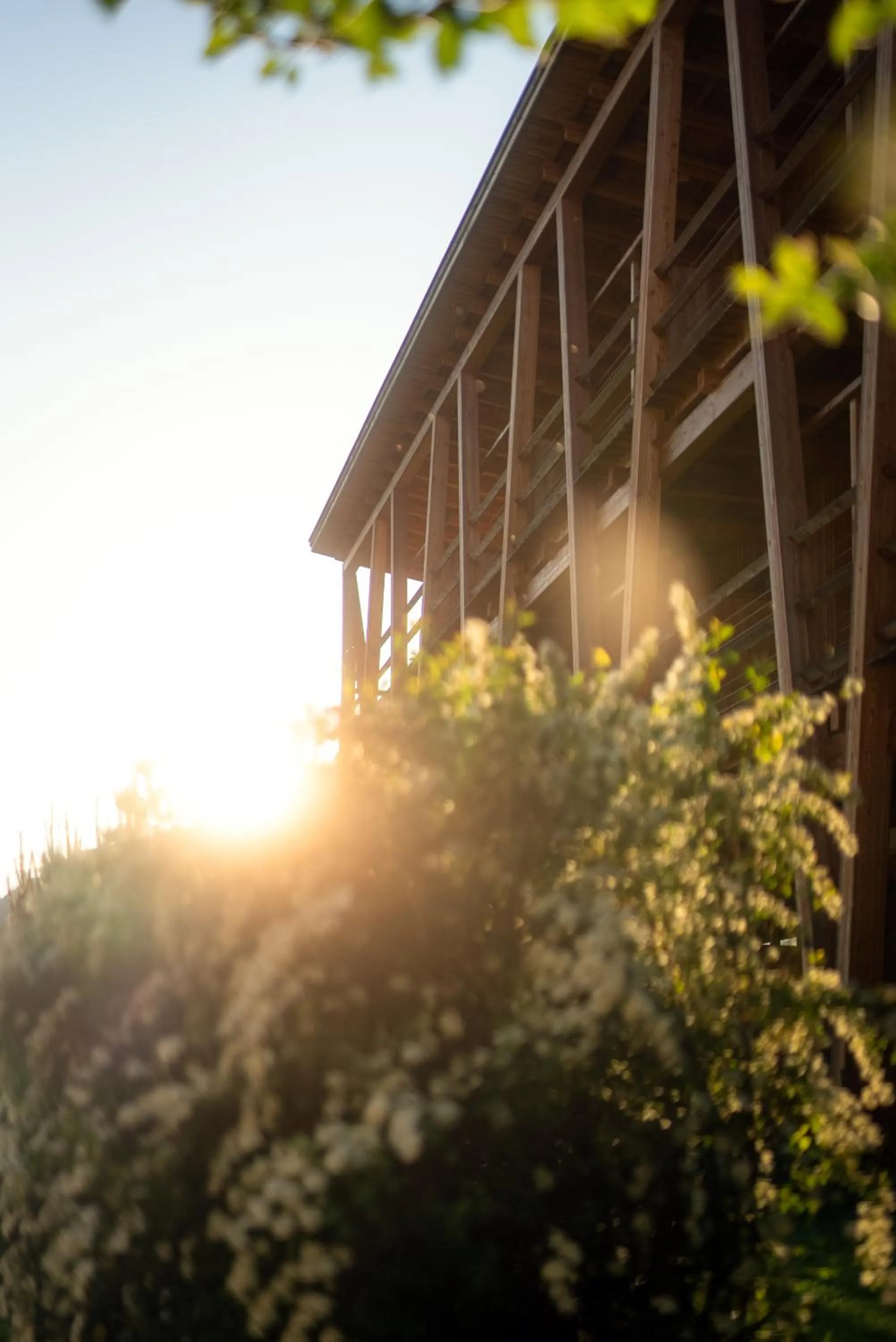 Taubers Bio Vitalhotel