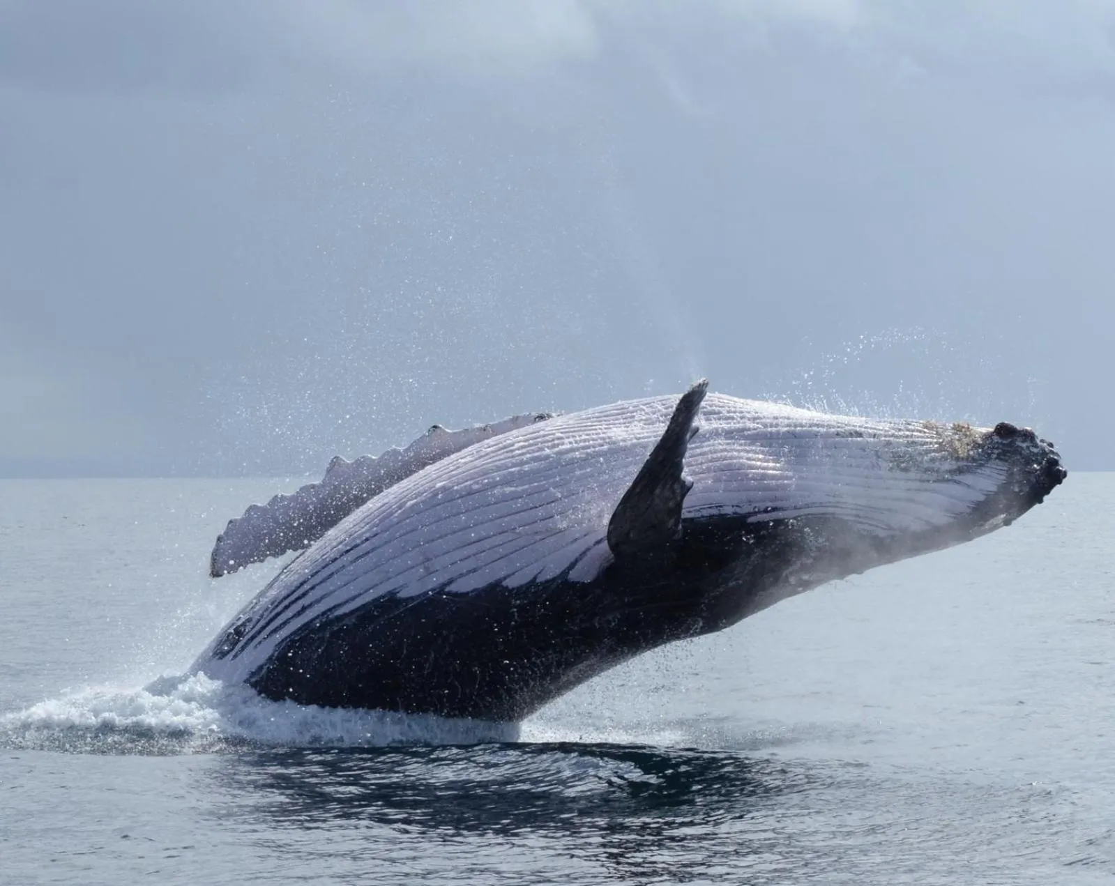 Day in Libertalia Hotel