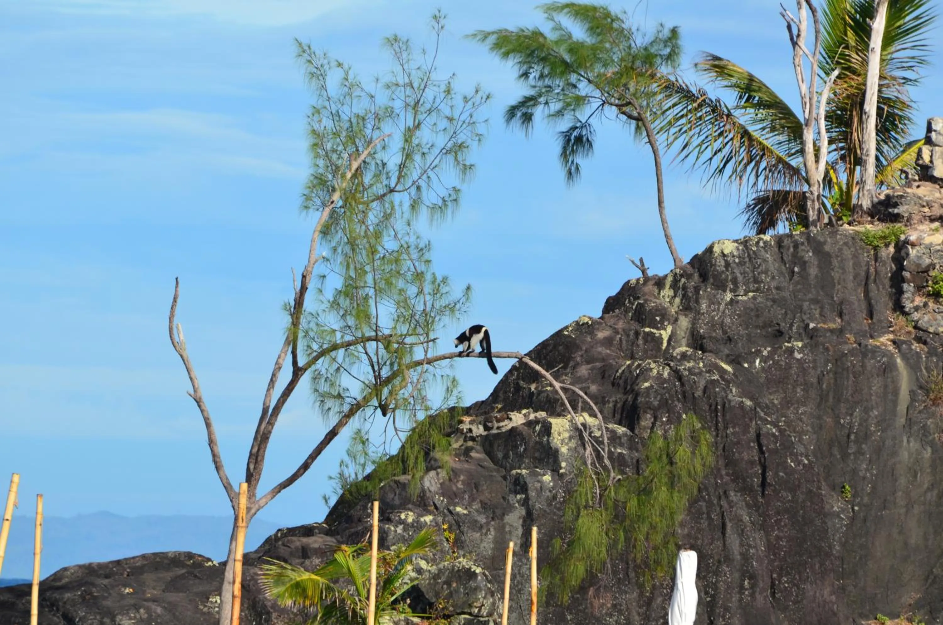 View (from property/room) in Libertalia Hotel