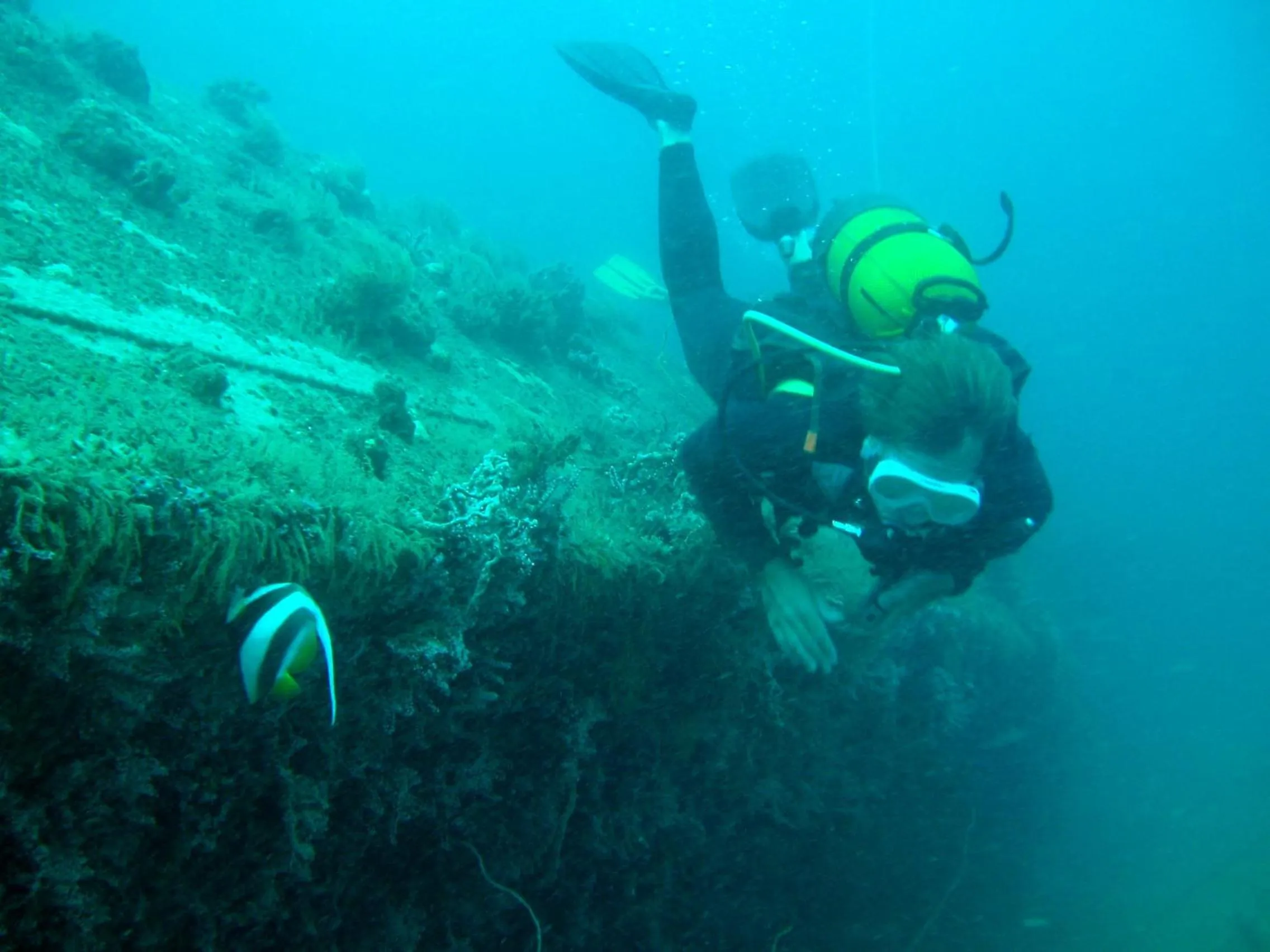 Diving in Libertalia Hotel