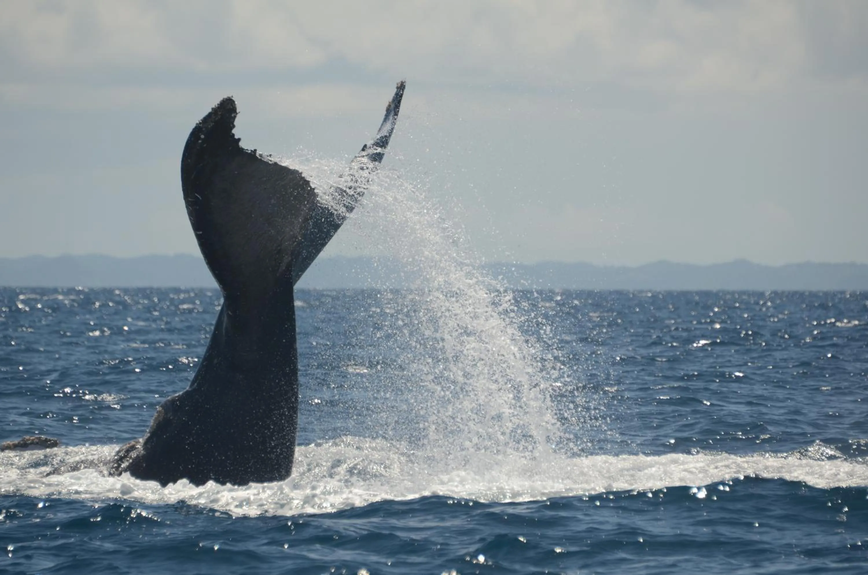 Day in Libertalia Hotel