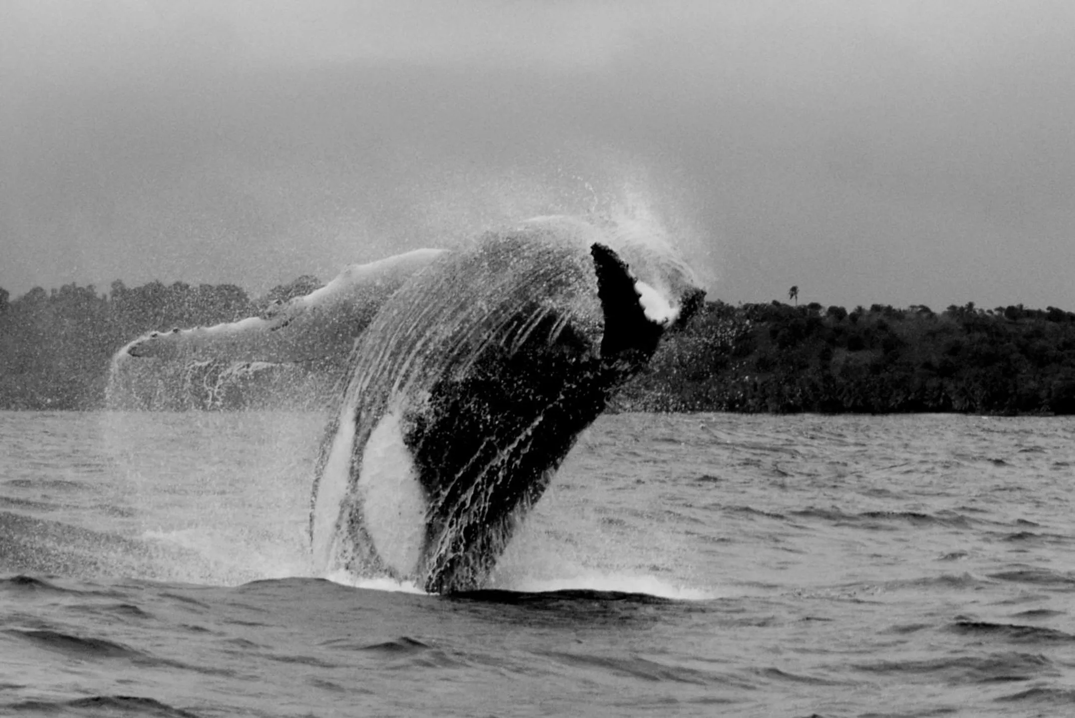 Day in Libertalia Hotel