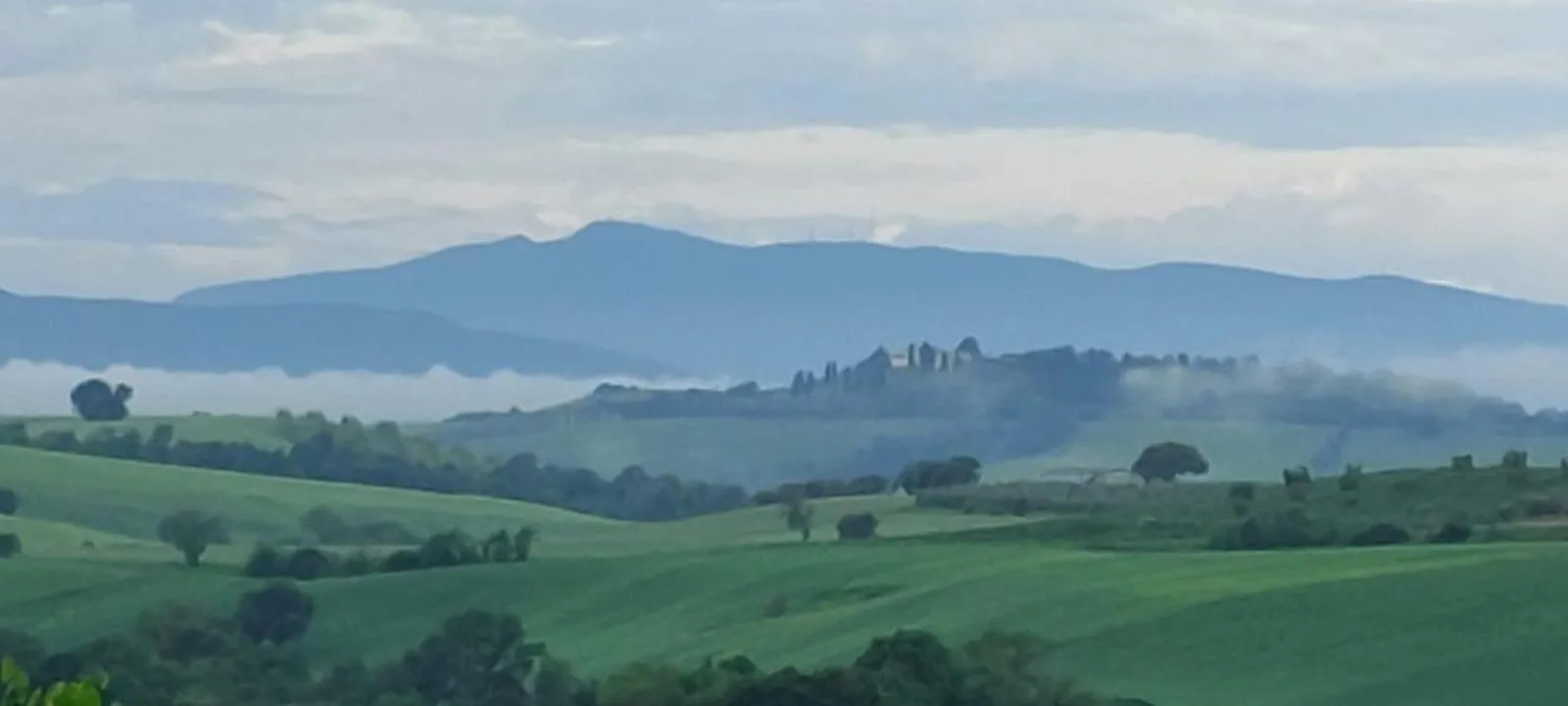 Agriturismo Podere Verdicchio
