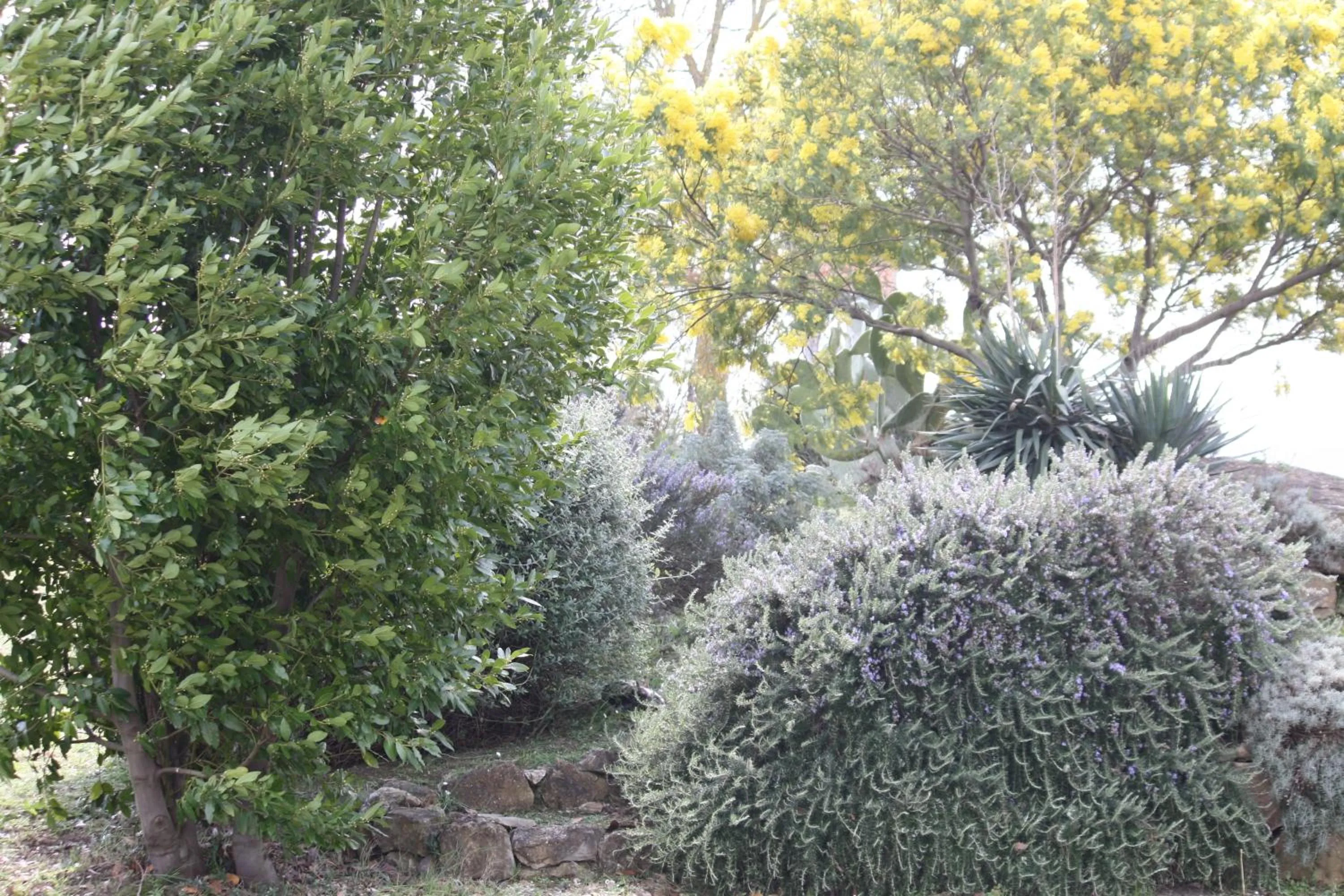 Garden in Agriturismo Podere Verdicchio