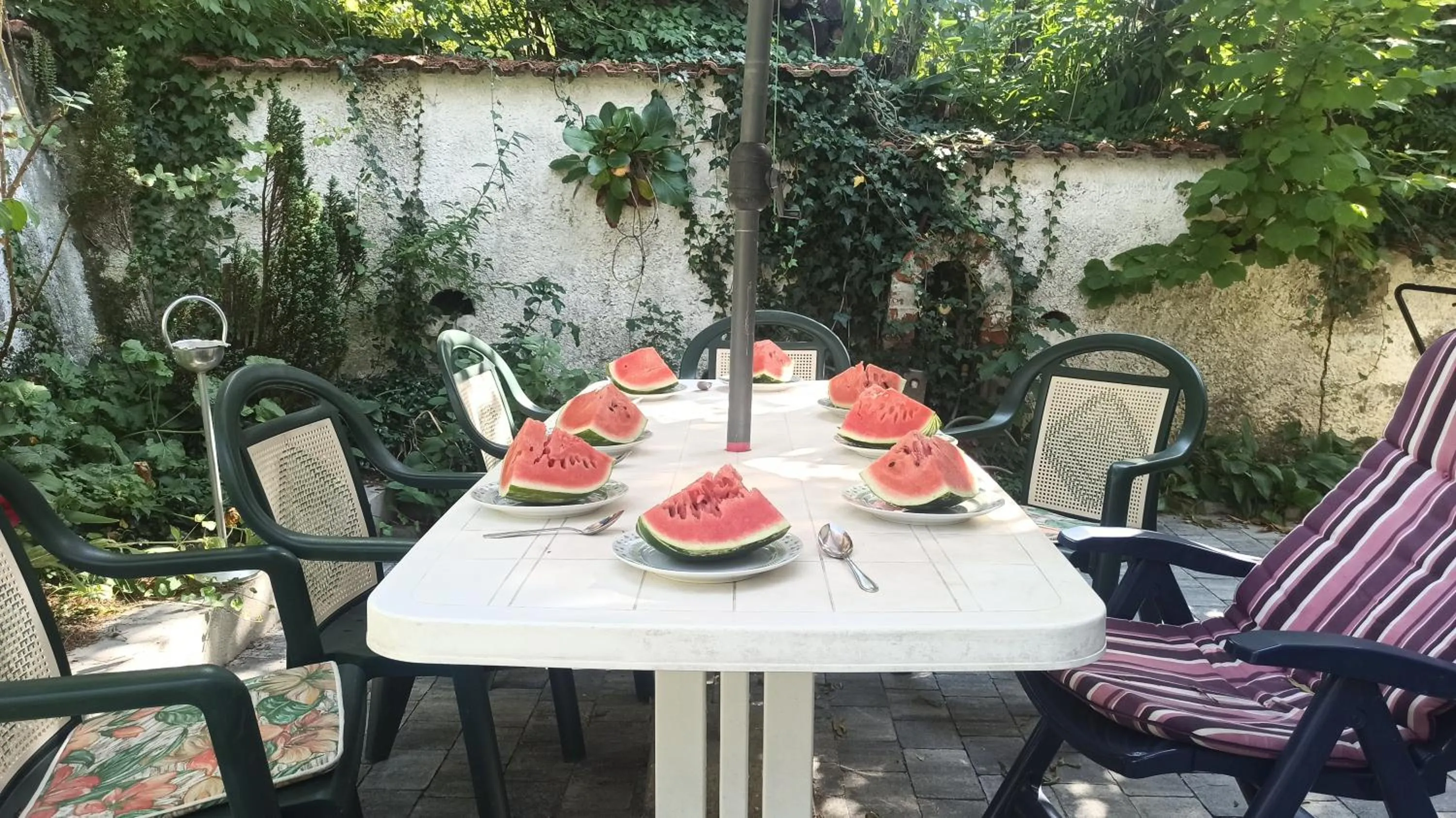 Panka House
