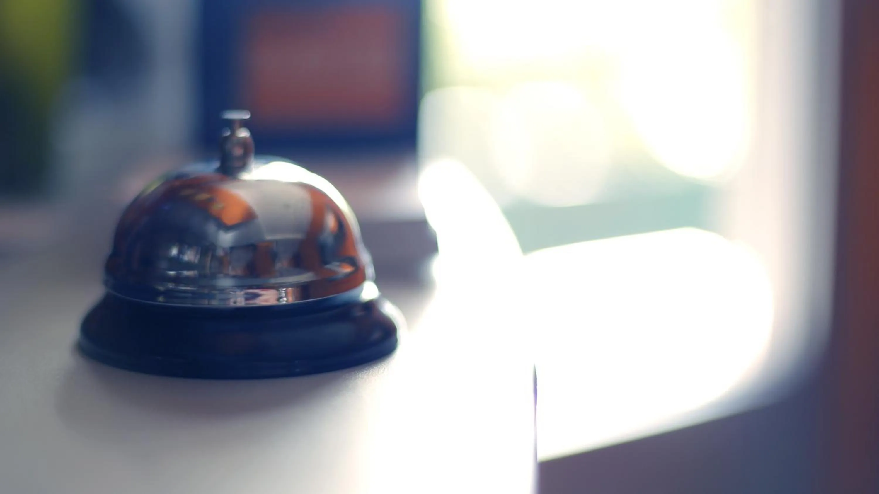 Other in Bed & Breakfast Garden40