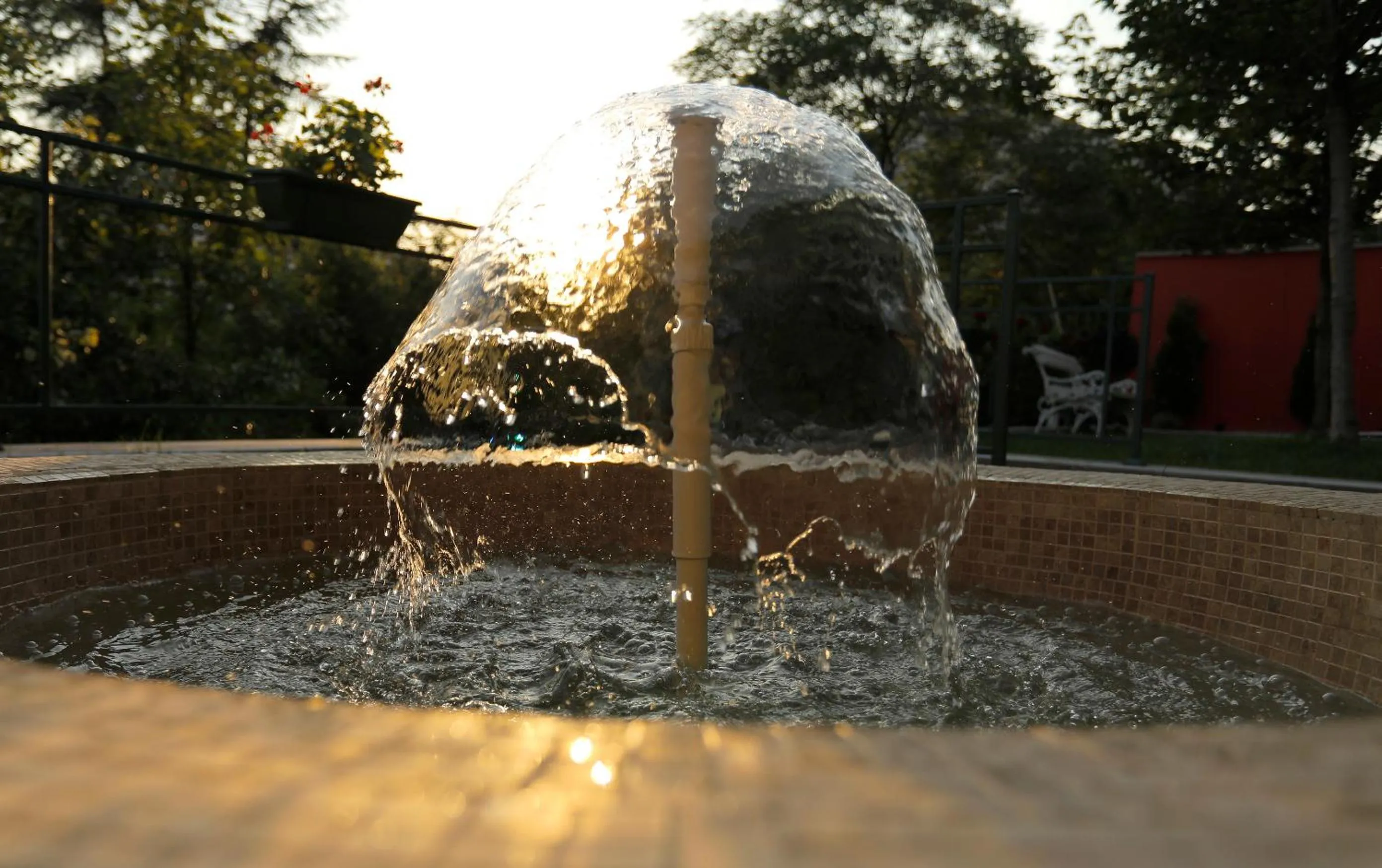 Garden in Bed & Breakfast Garden40