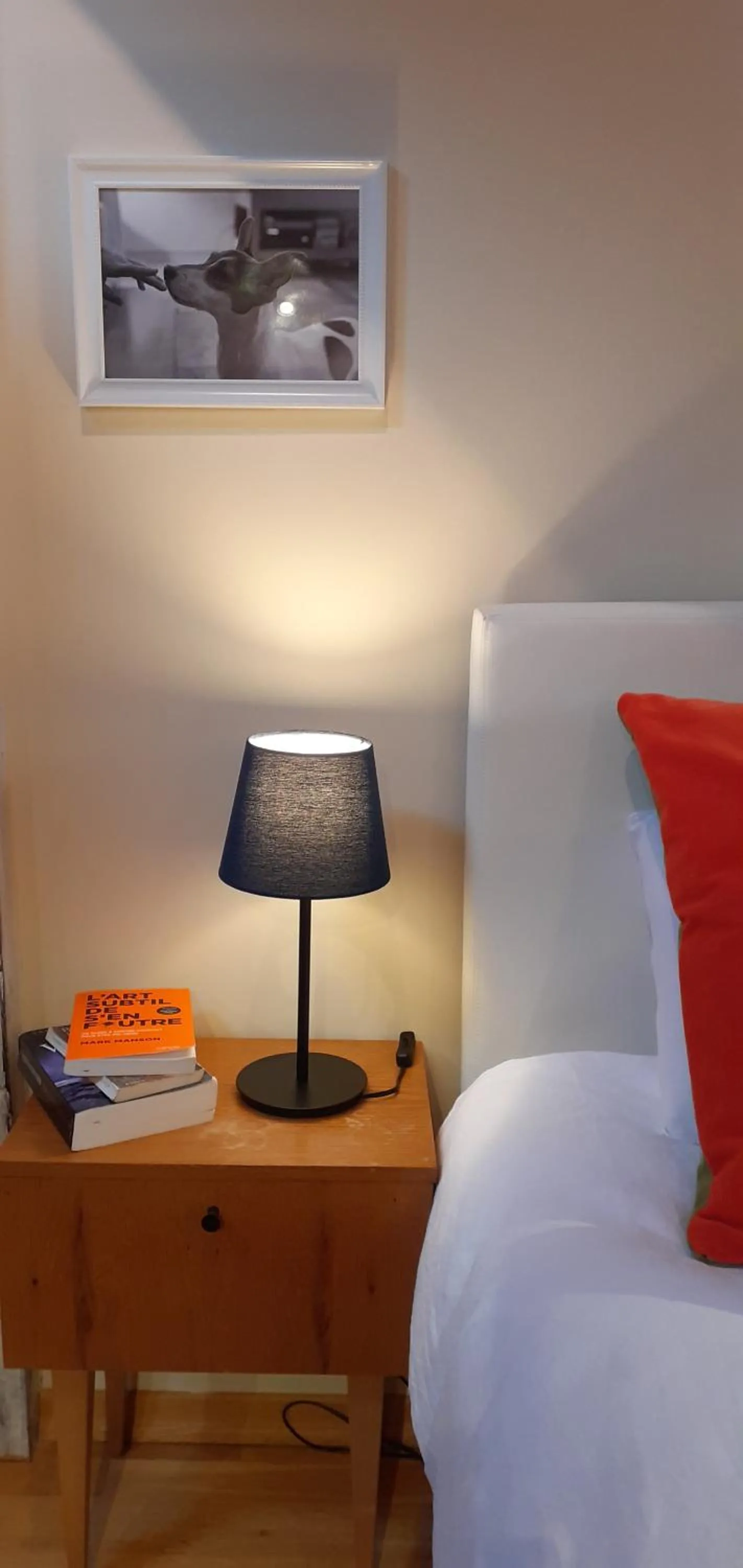 hair dresser in La Chouette Maison - Chambres d'hôtes et Gîte en Ville