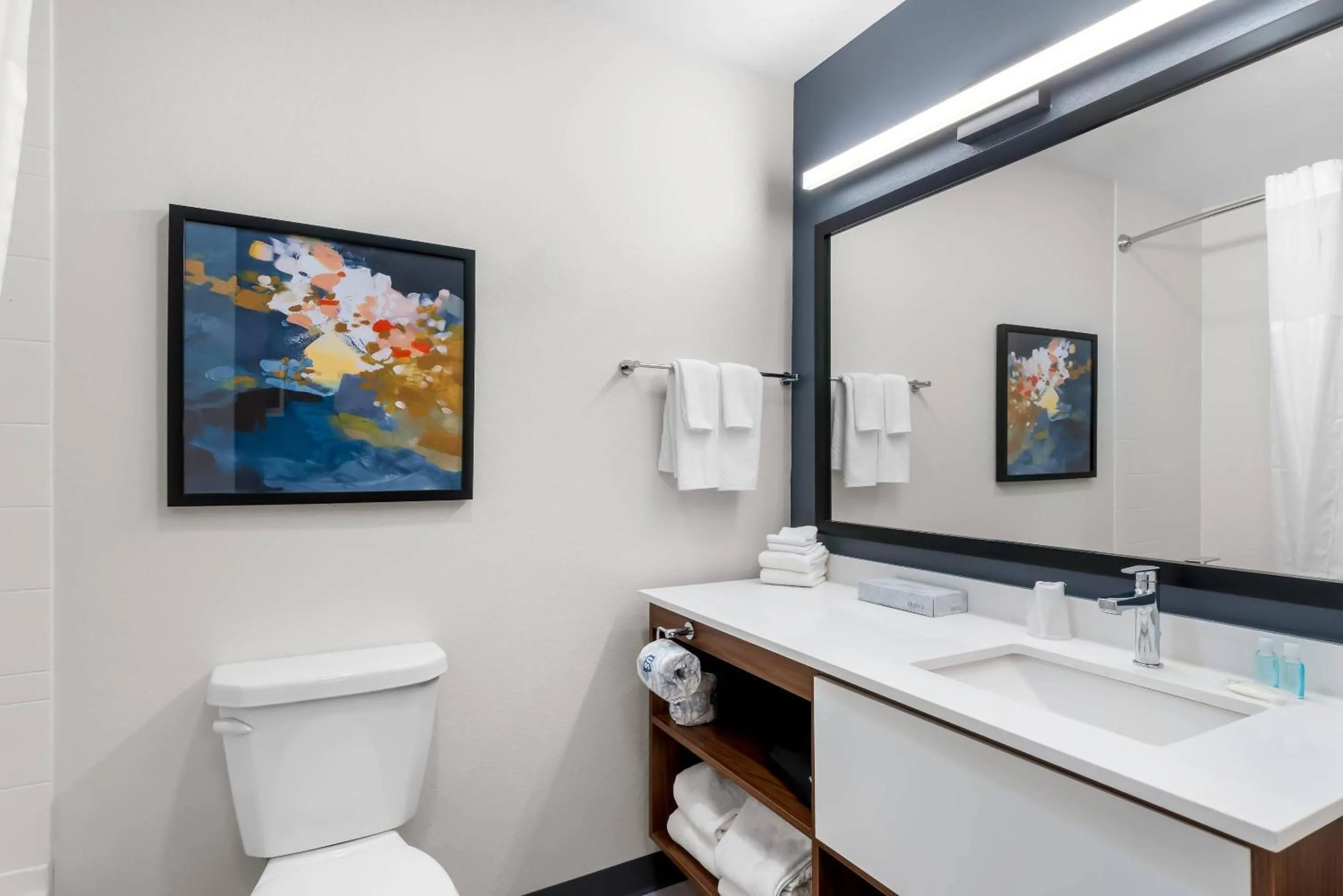 Toilet in Everhome Suites Cheyenne