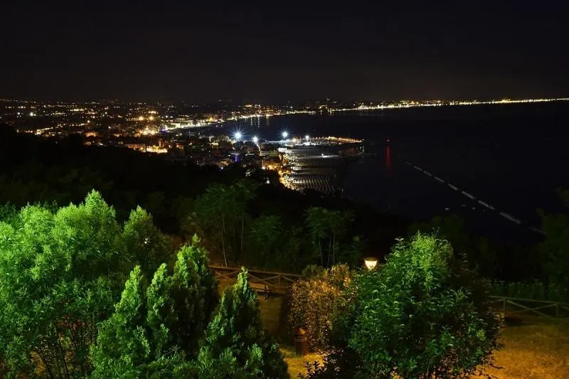 Natural landscape in Hotel Vienna
