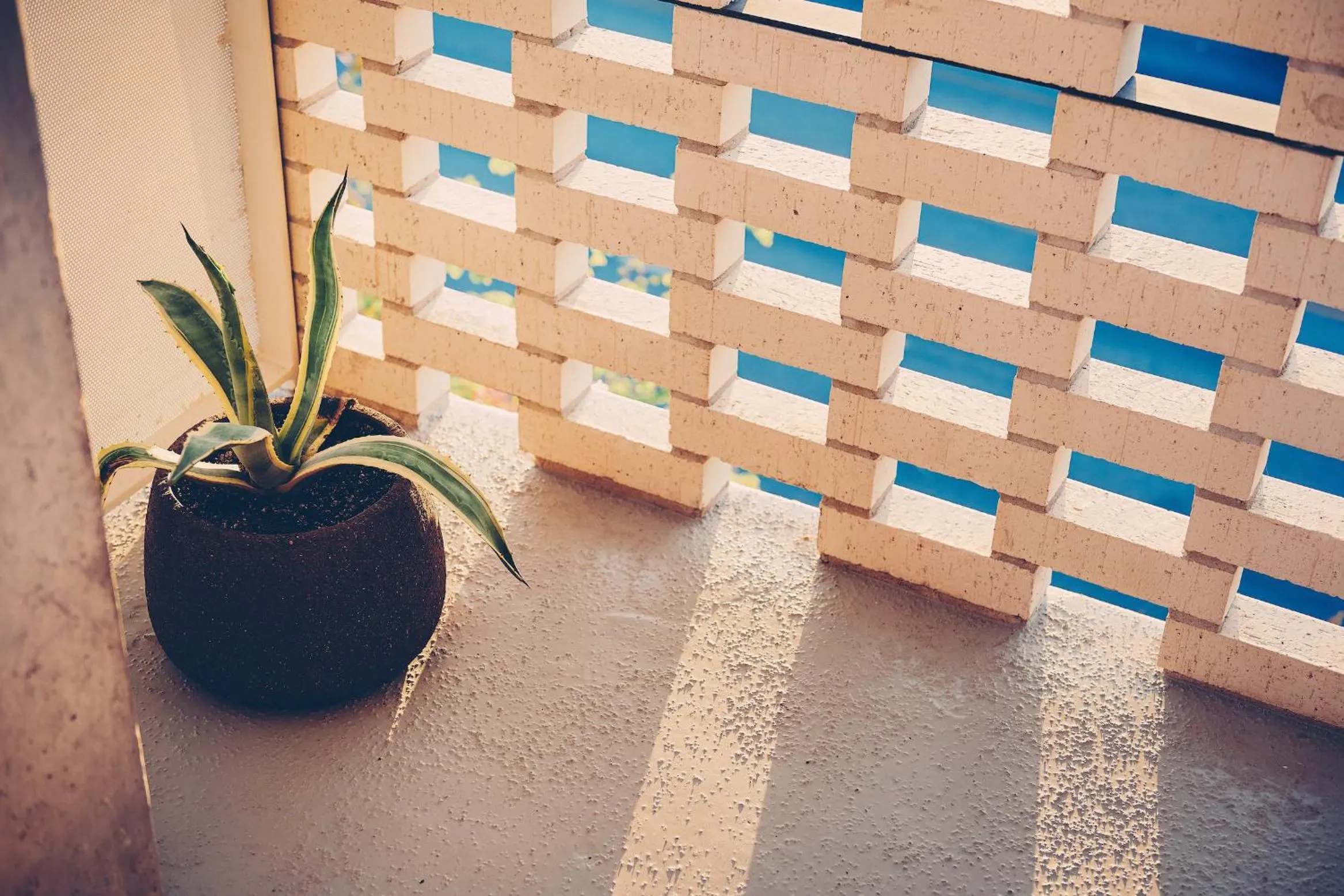 Balcony/Terrace in South Congress Hotel