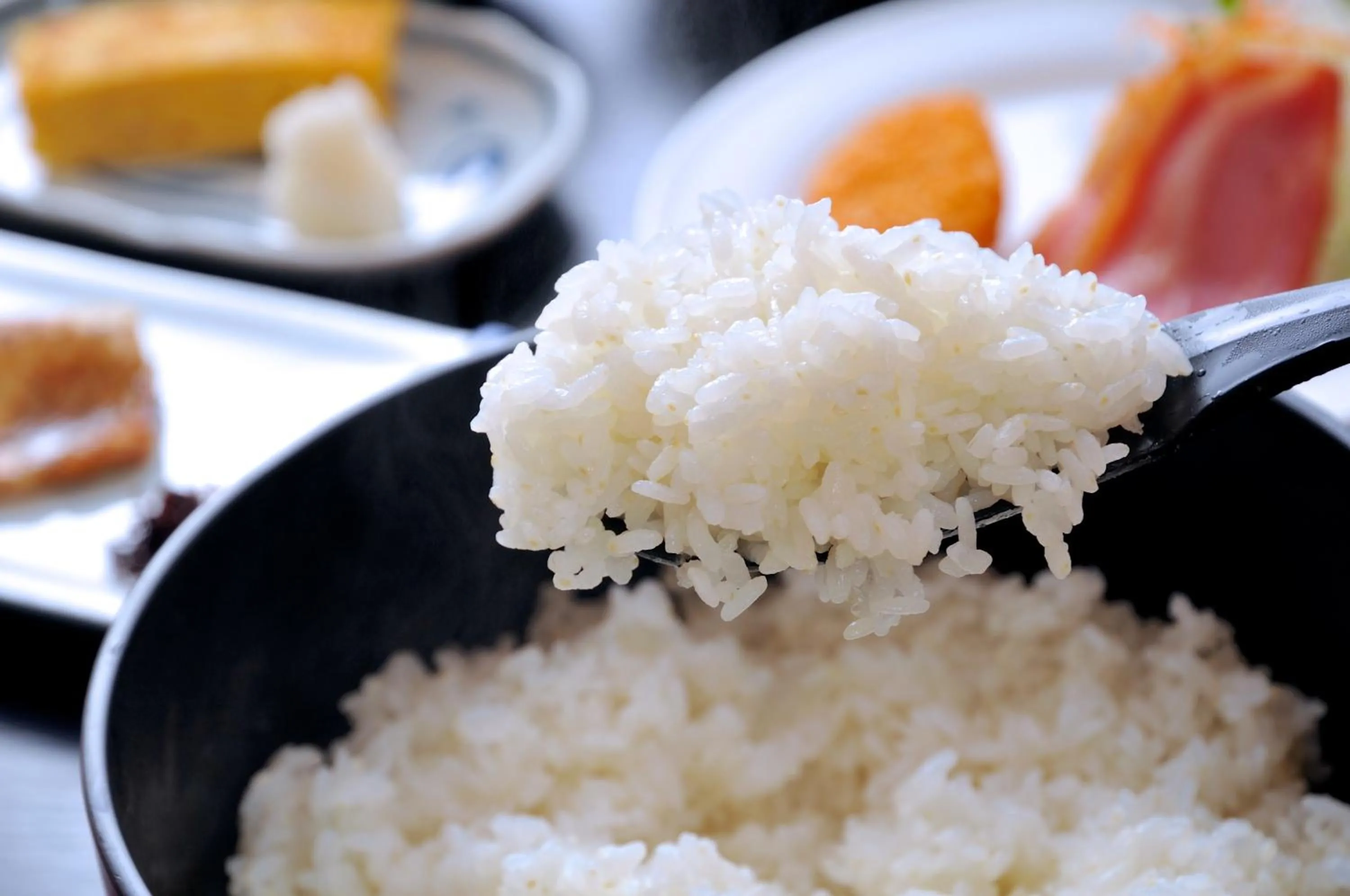 Food in Maruyama Onsen Kojyokan